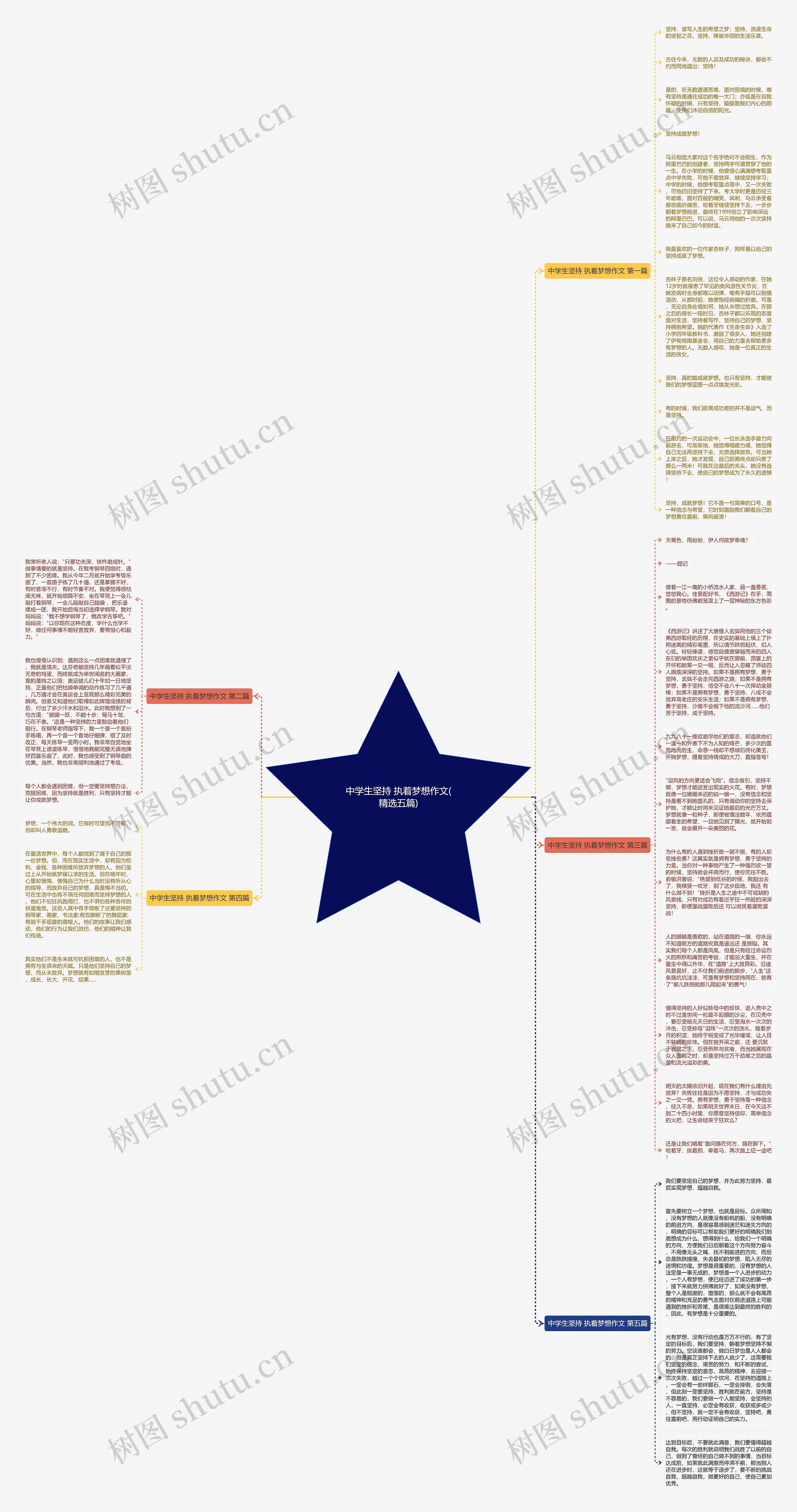 中学生坚持 执着梦想作文(精选五篇)思维导图