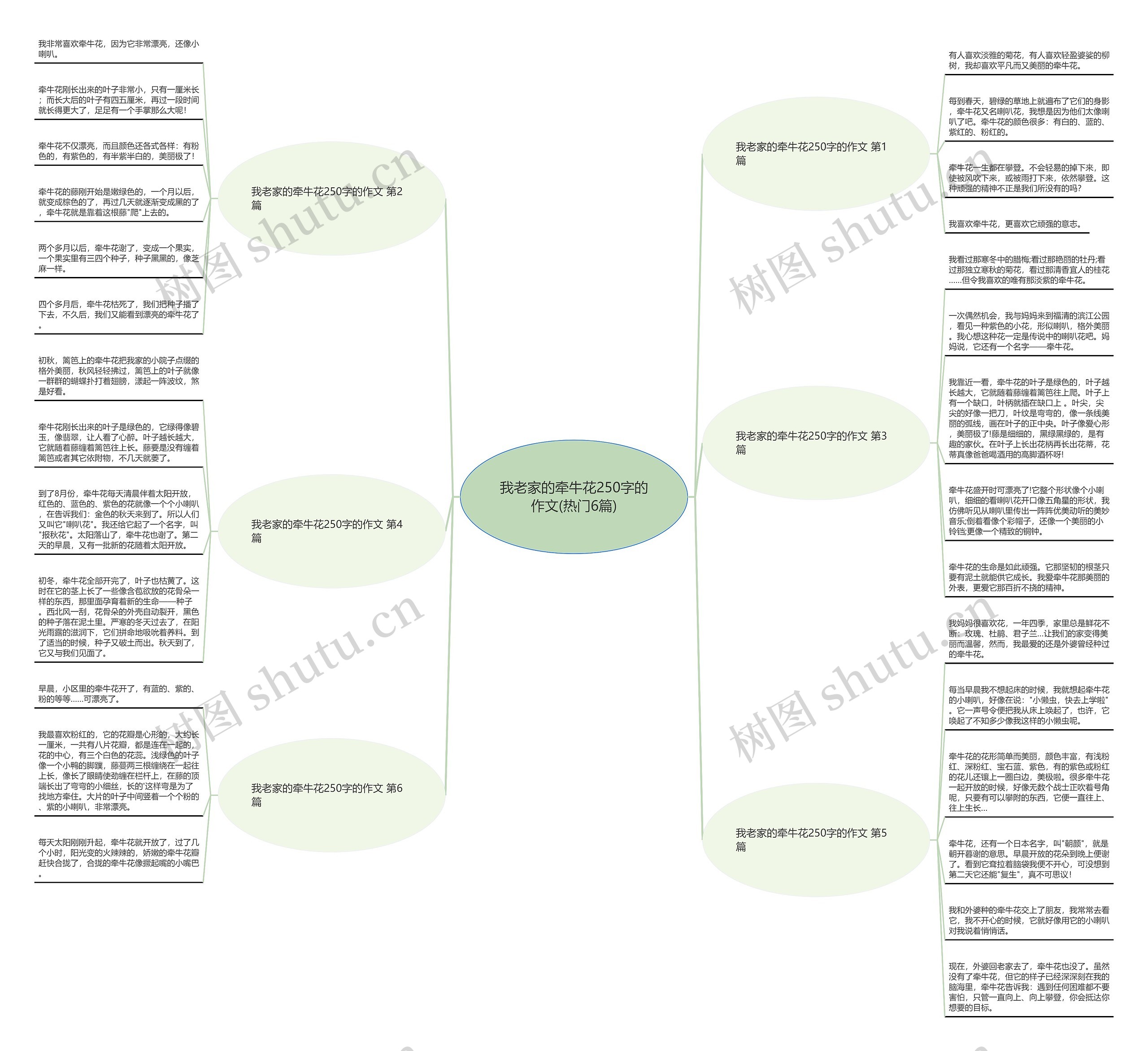 我老家的牵牛花250字的作文(热门6篇)思维导图