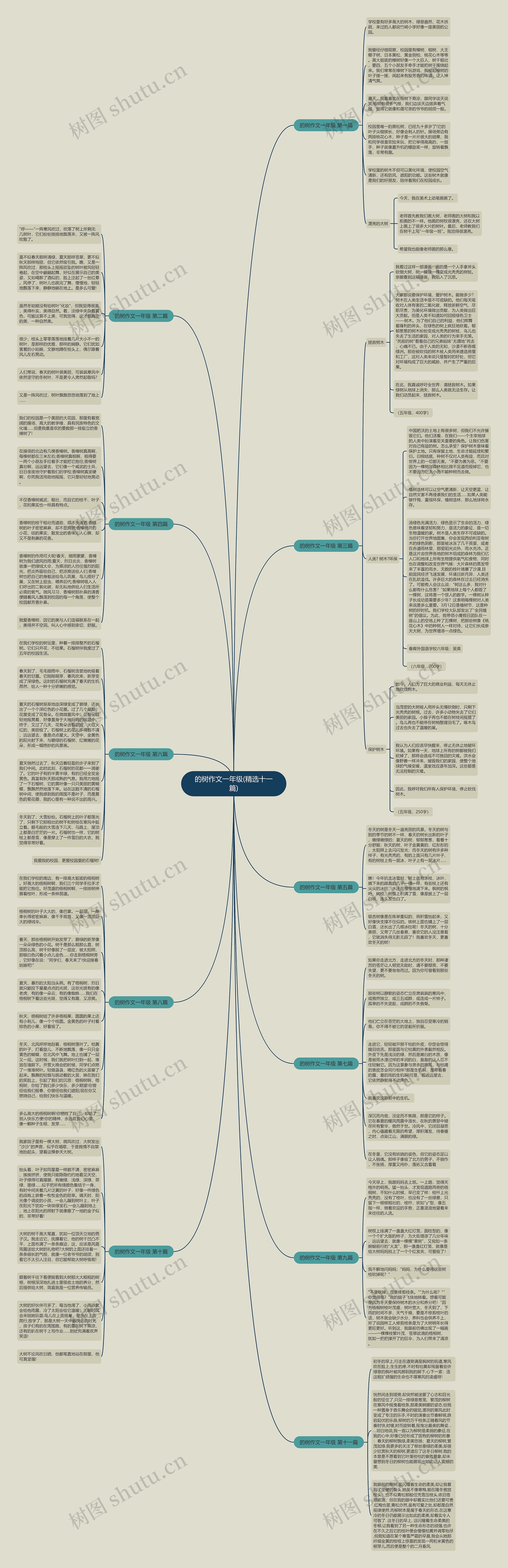 的树作文一年级(精选十一篇)思维导图
