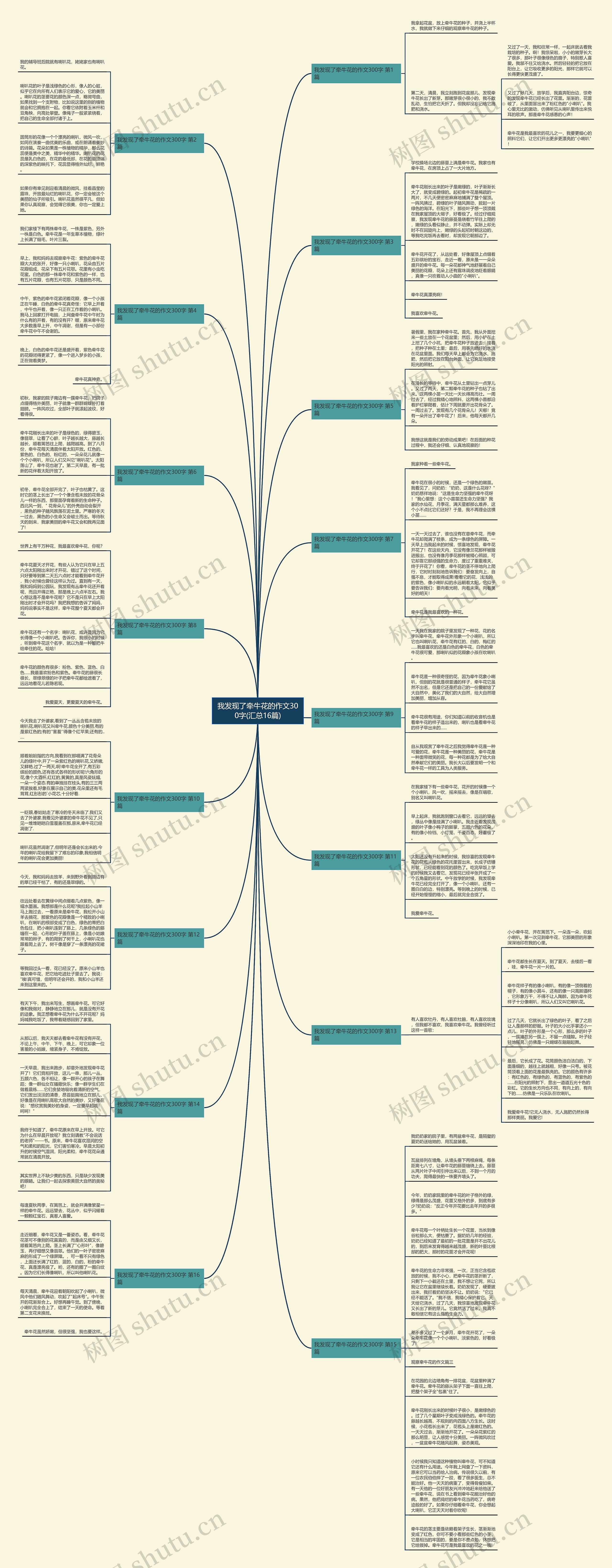 我发现了牵牛花的作文300字(汇总16篇)思维导图
