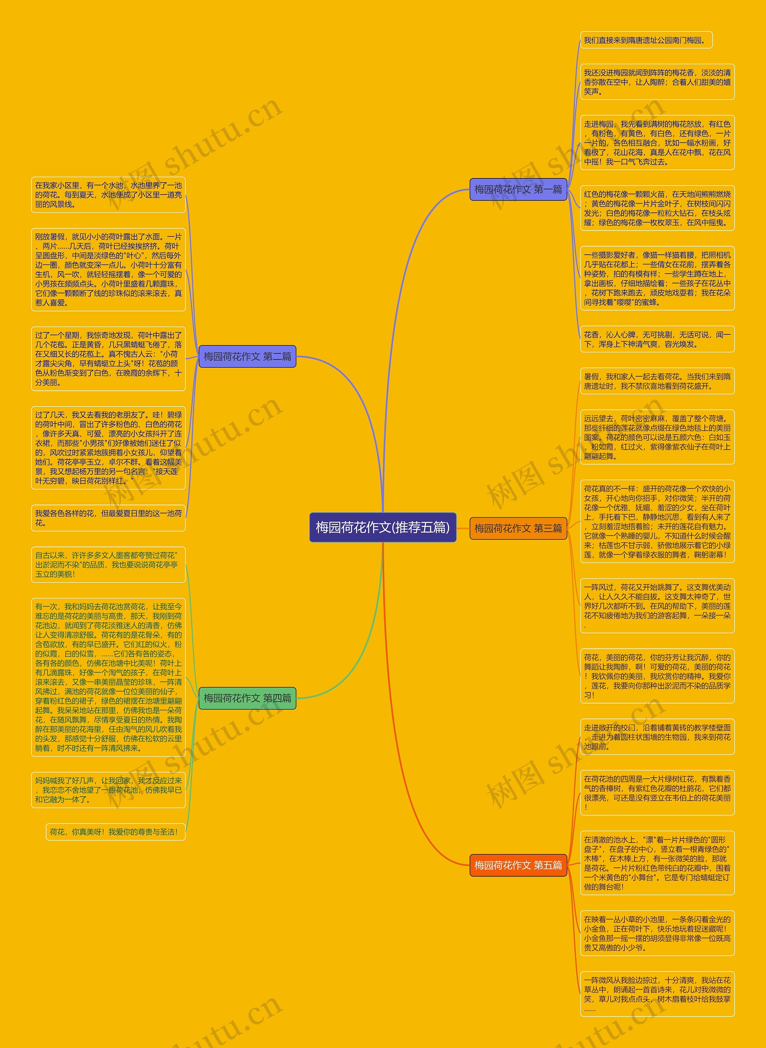 梅园荷花作文(推荐五篇)思维导图高清图 梅园荷花作文(推荐五篇)思维导图