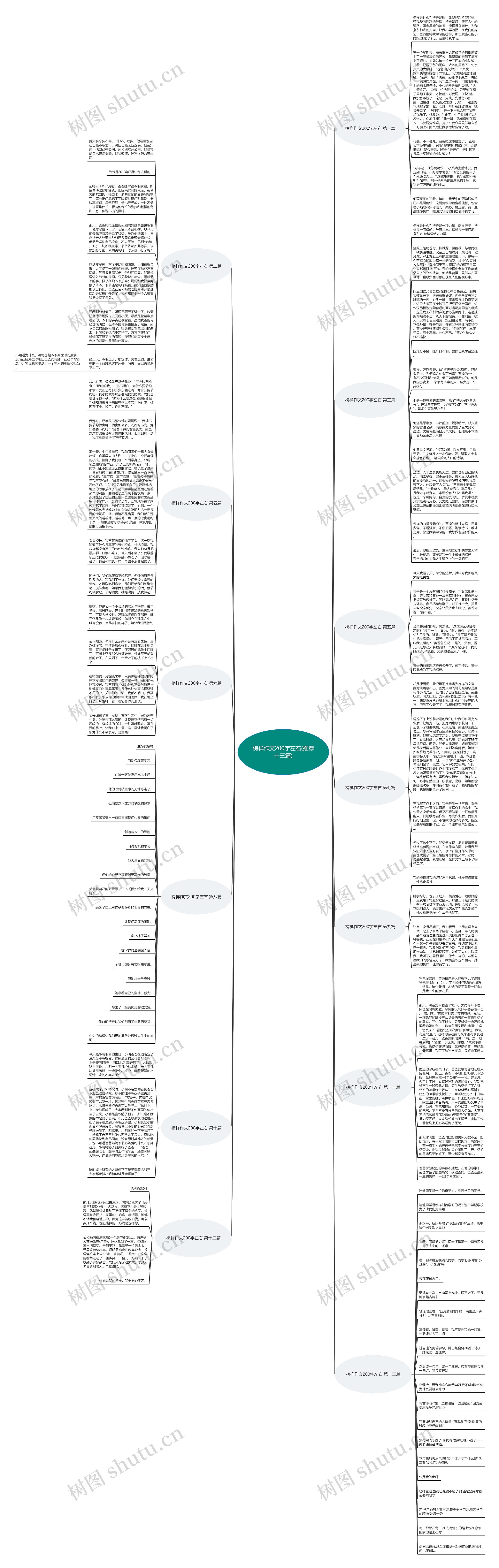 榜样作文200字左右(推荐十三篇)思维导图