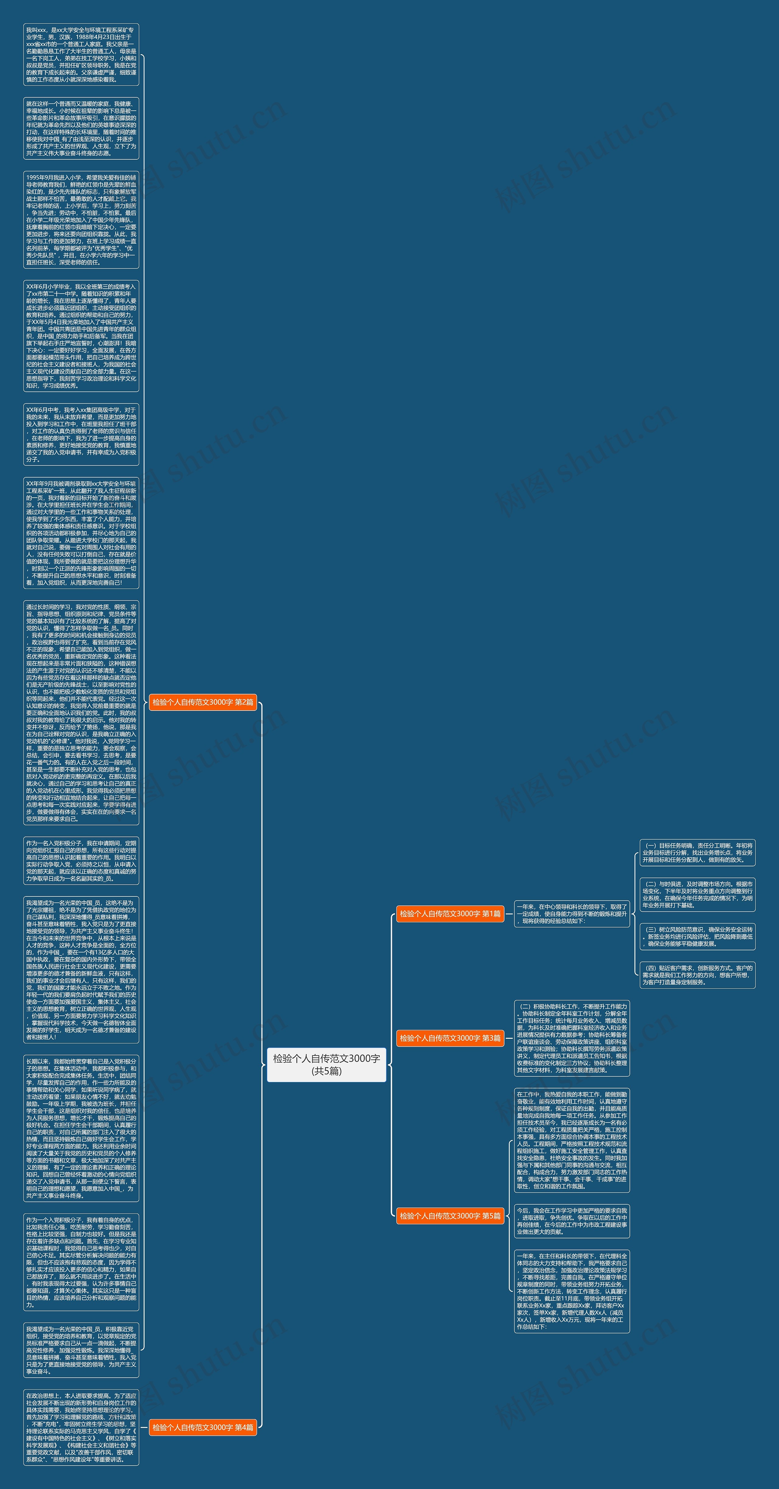 检验个人自传范文3000字(共5篇)思维导图
