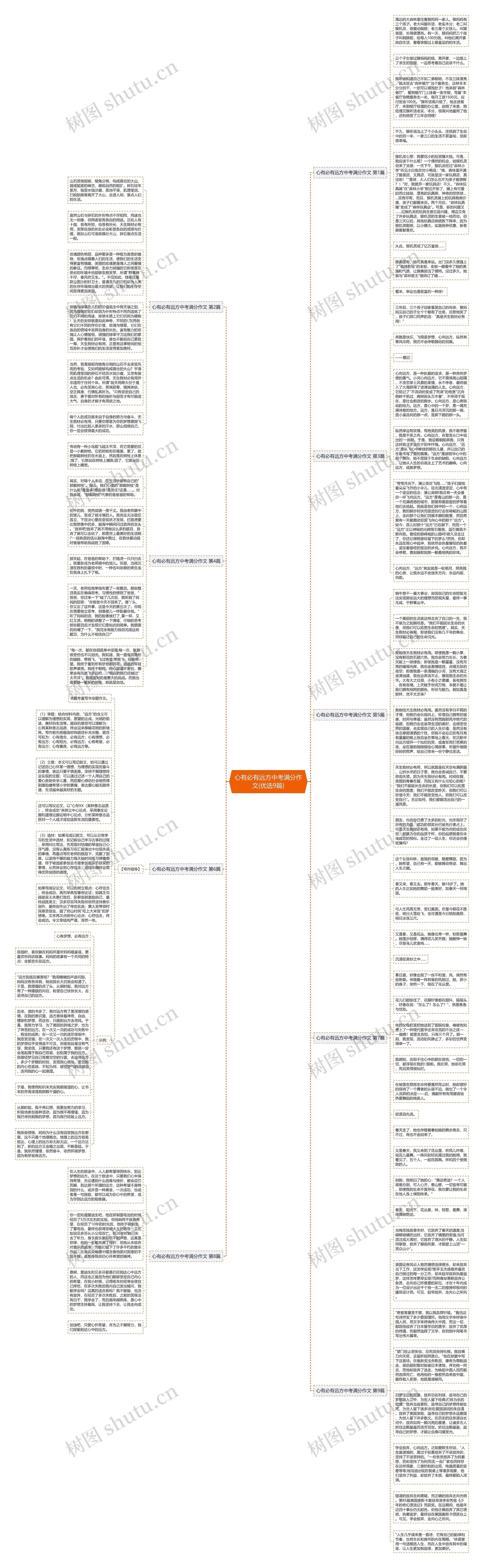 心有必有远方中考满分作文(优选9篇)思维导图