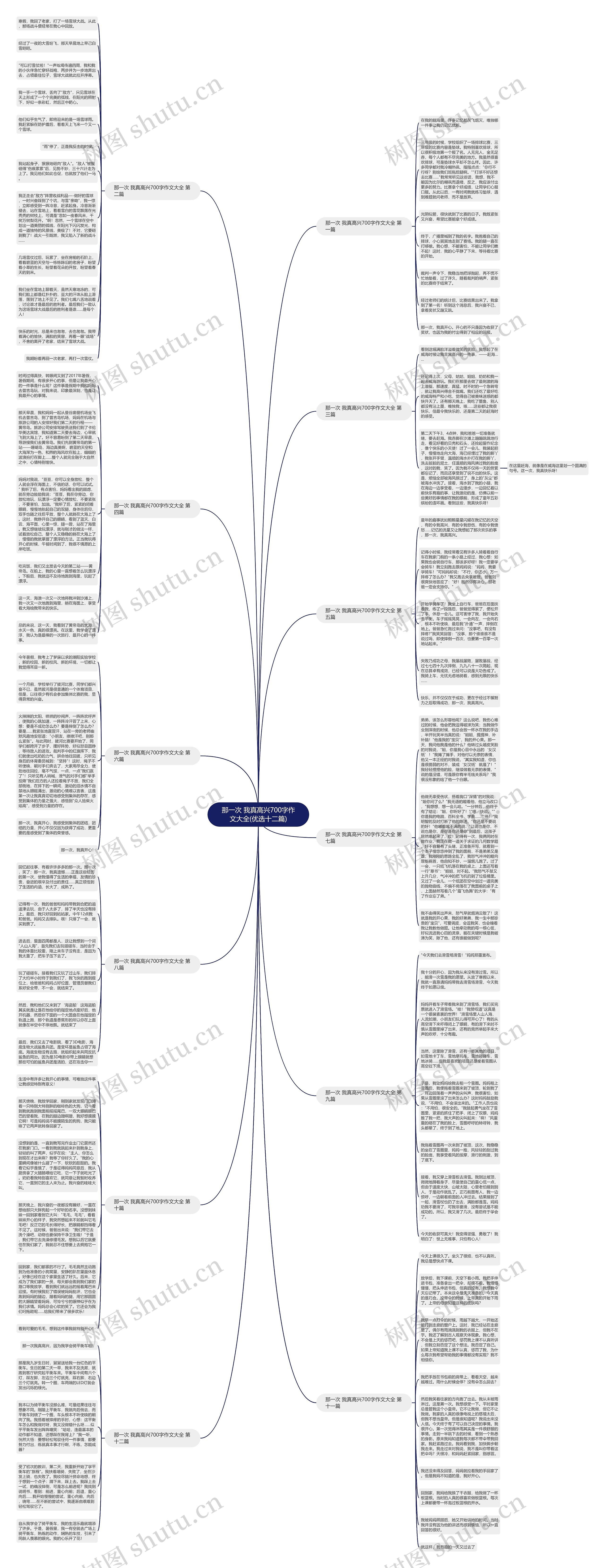 那一次 我真高兴700字作文大全(优选十二篇)思维导图