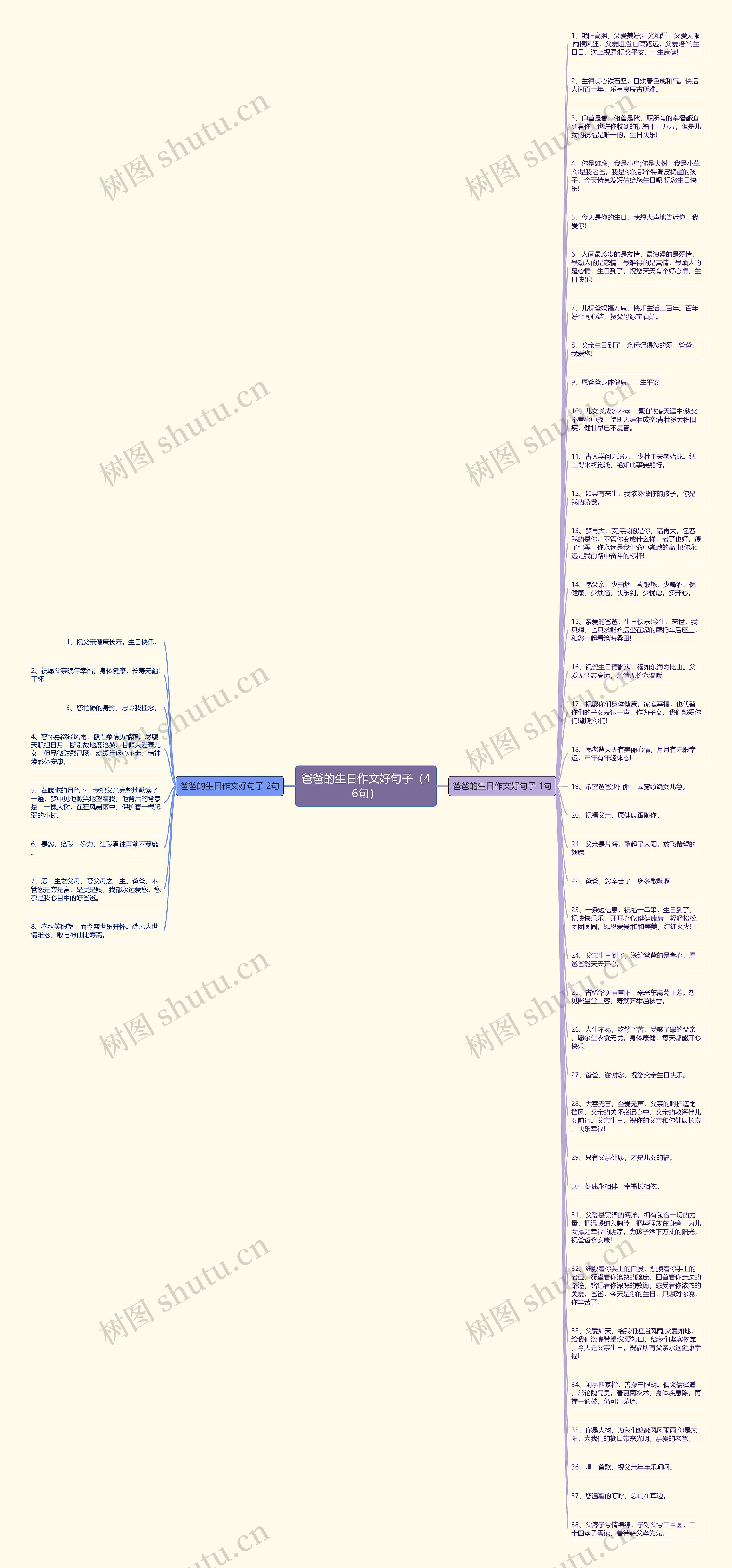 爸爸的生日作文好句子（46句）思维导图
