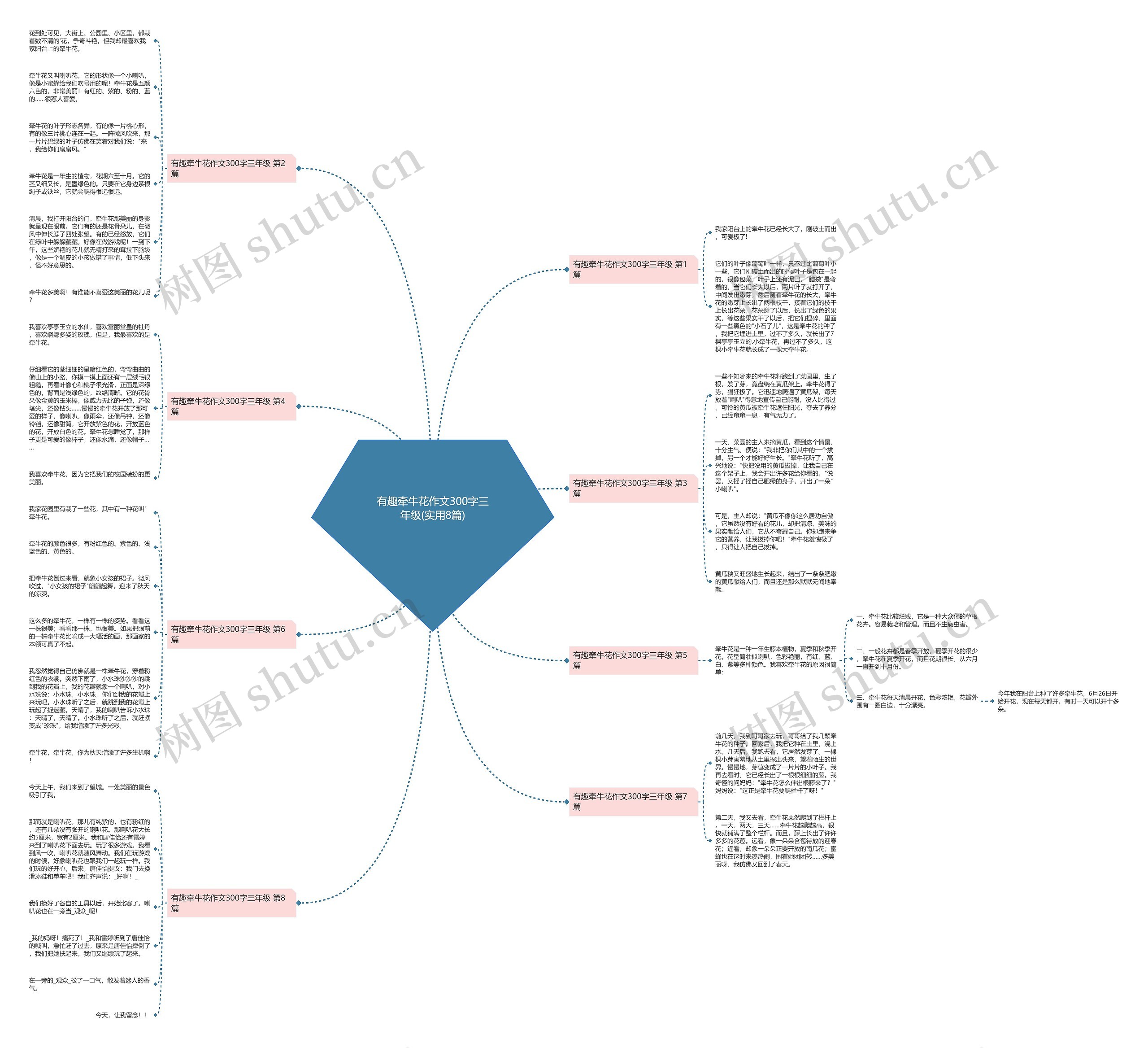 有趣牵牛花作文300字三年级(实用8篇)思维导图