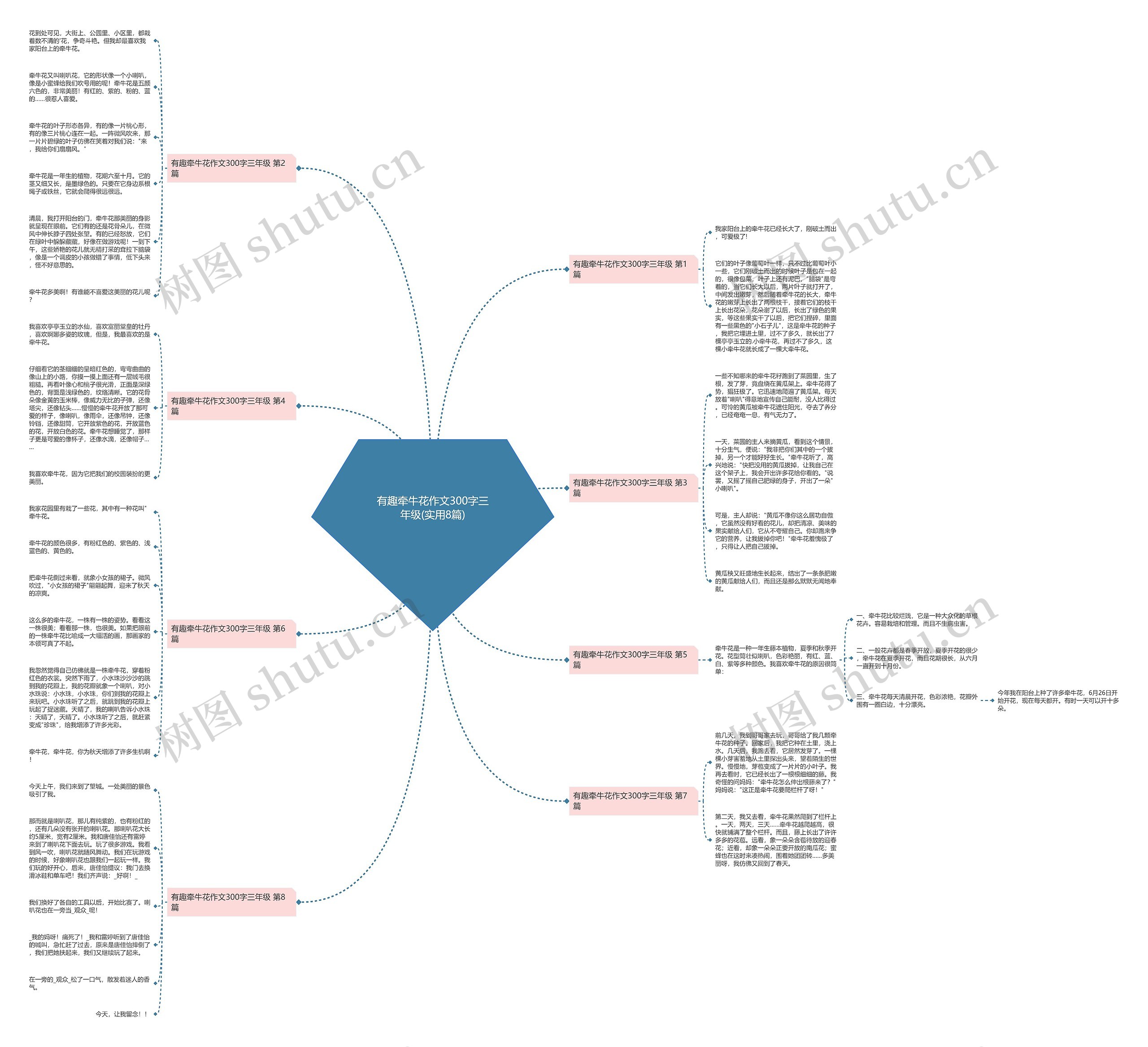 有趣牵牛花作文300字三年级(实用8篇) 有趣牵牛花作文300字三年级(实用8篇)