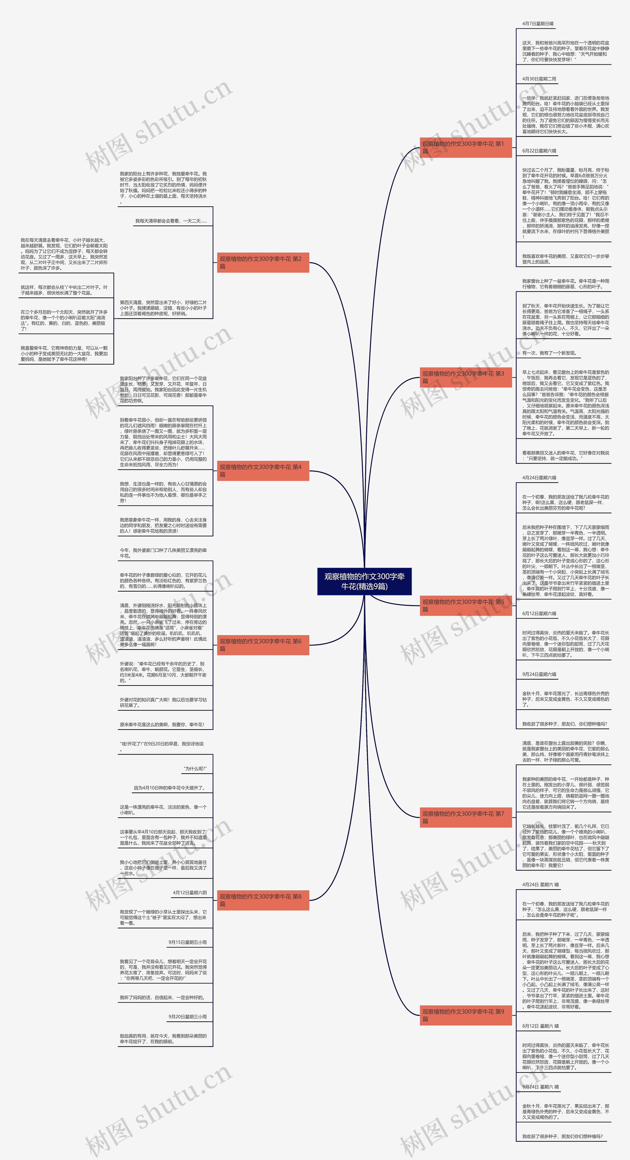 观察植物的作文300字牵牛花(精选9篇) 观察植物的作文300字牵牛花(精选9篇)