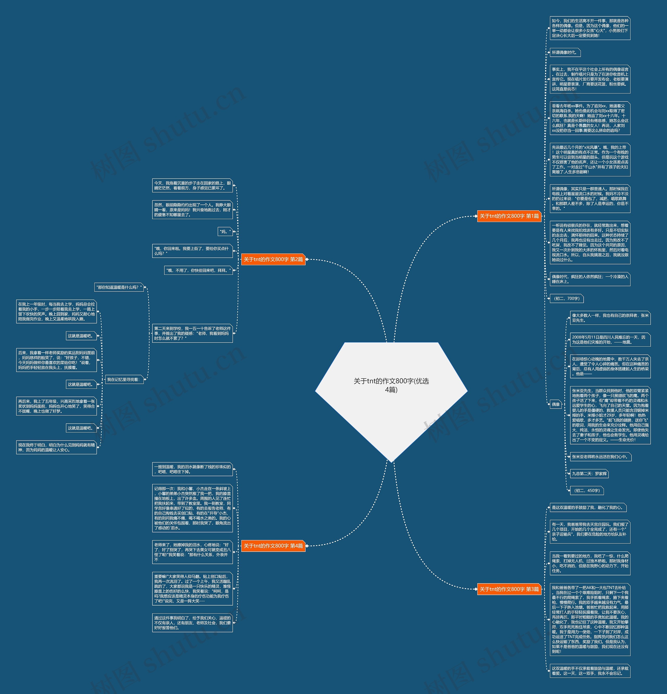 关于tnt的作文800字(优选4篇)思维导图