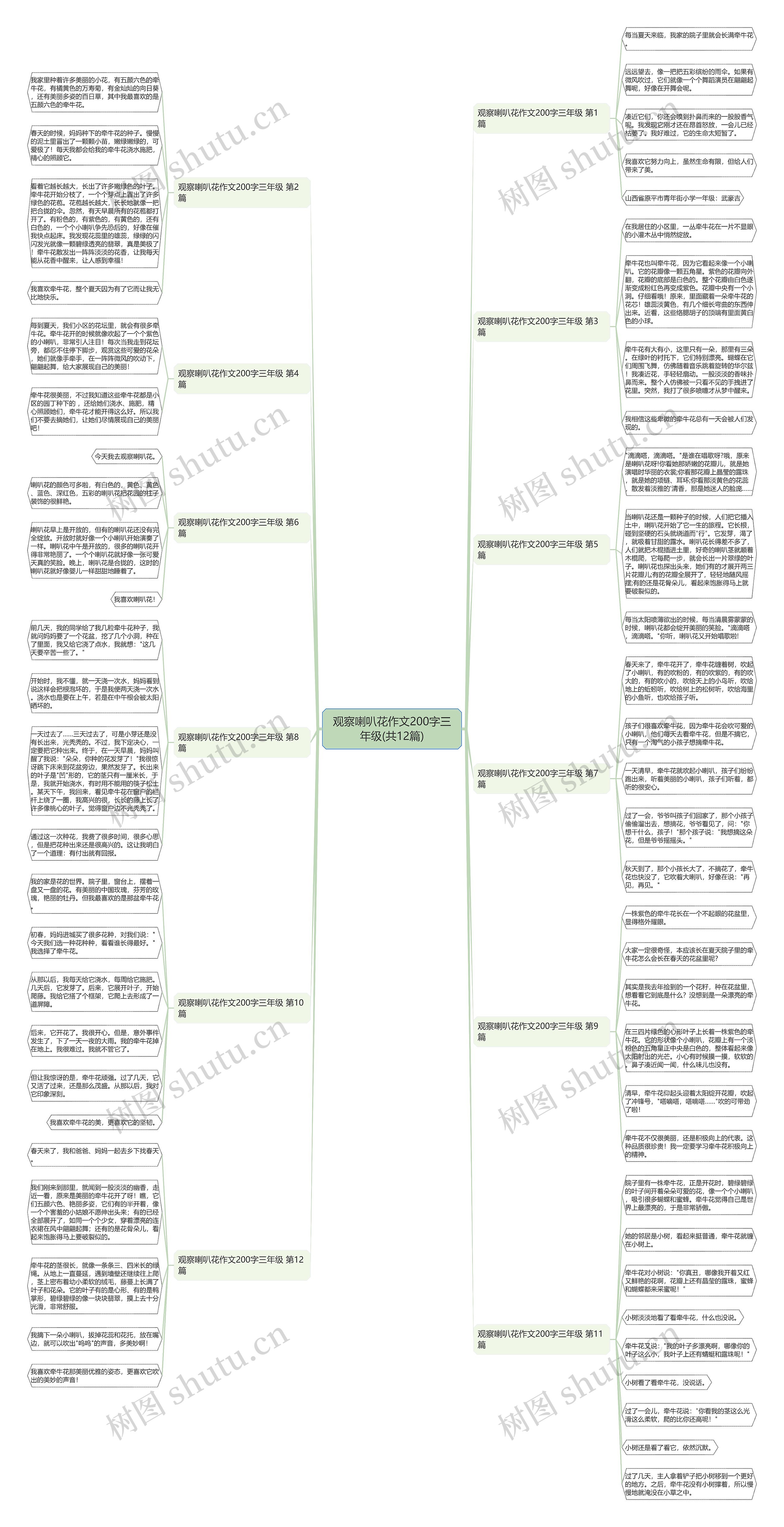 观察喇叭花作文200字三年级(共12篇)思维导图