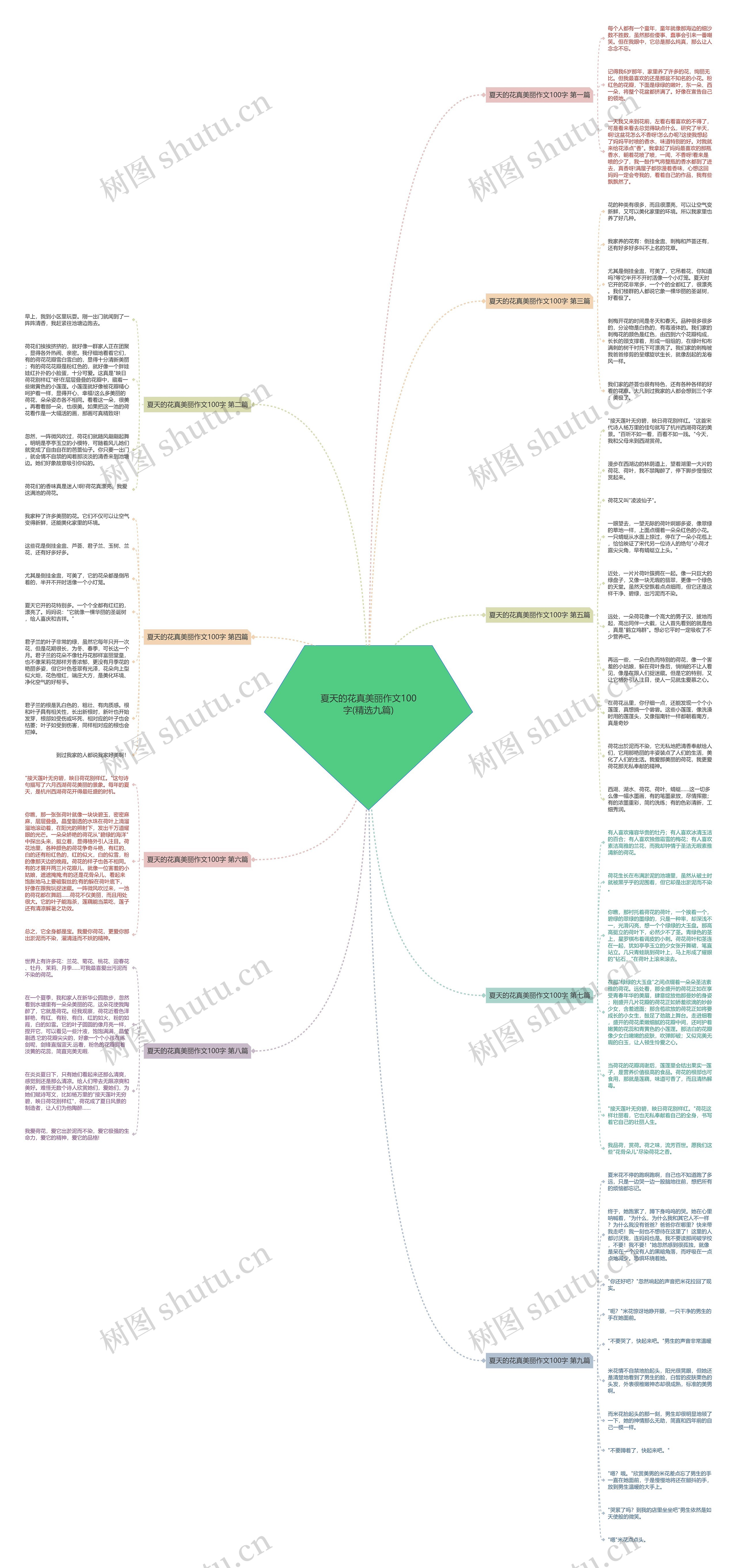 夏天的花真美丽作文100字(精选九篇)思维导图