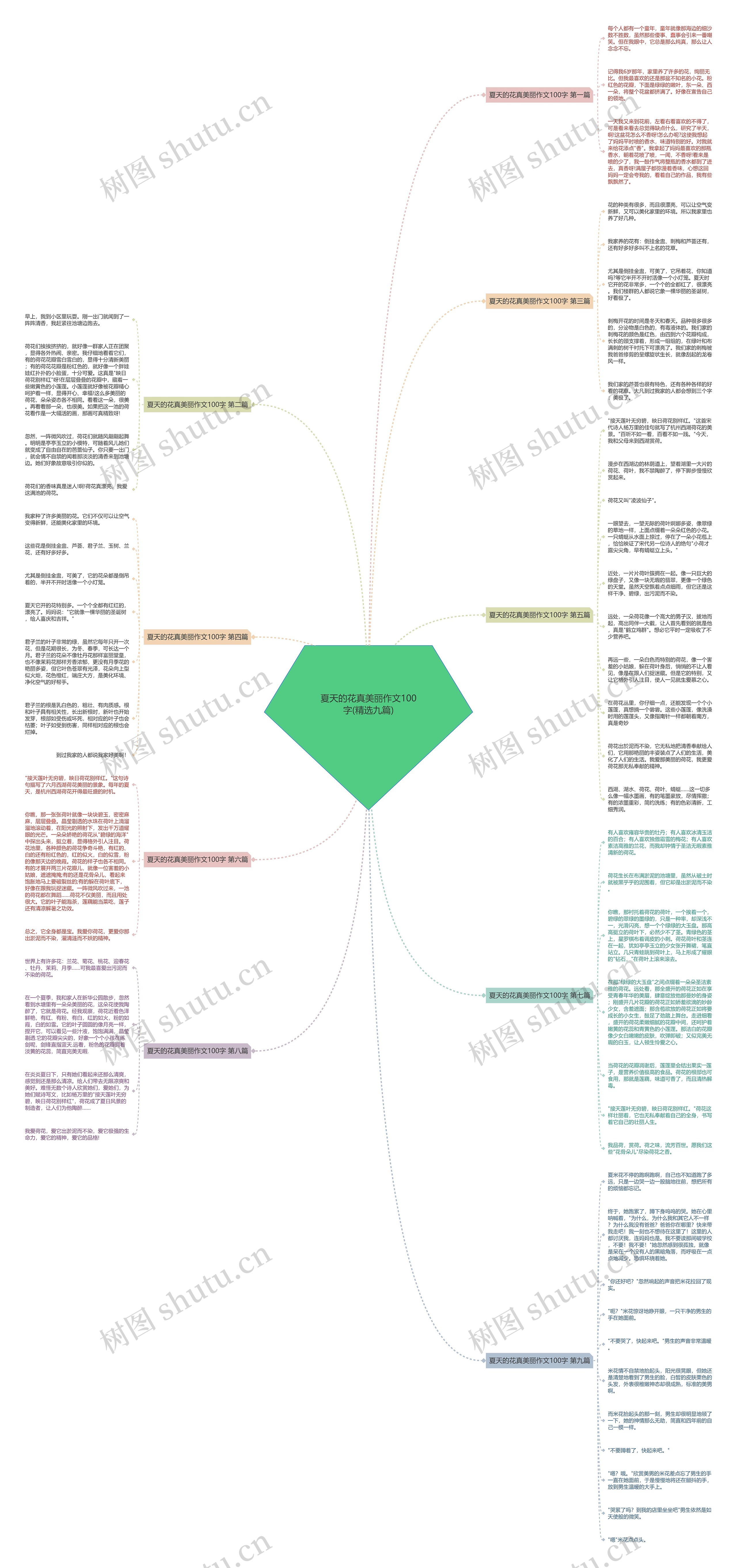 夏天的花真美丽作文100字(精选九篇) 夏天的花真美丽作文100字(精选九篇)