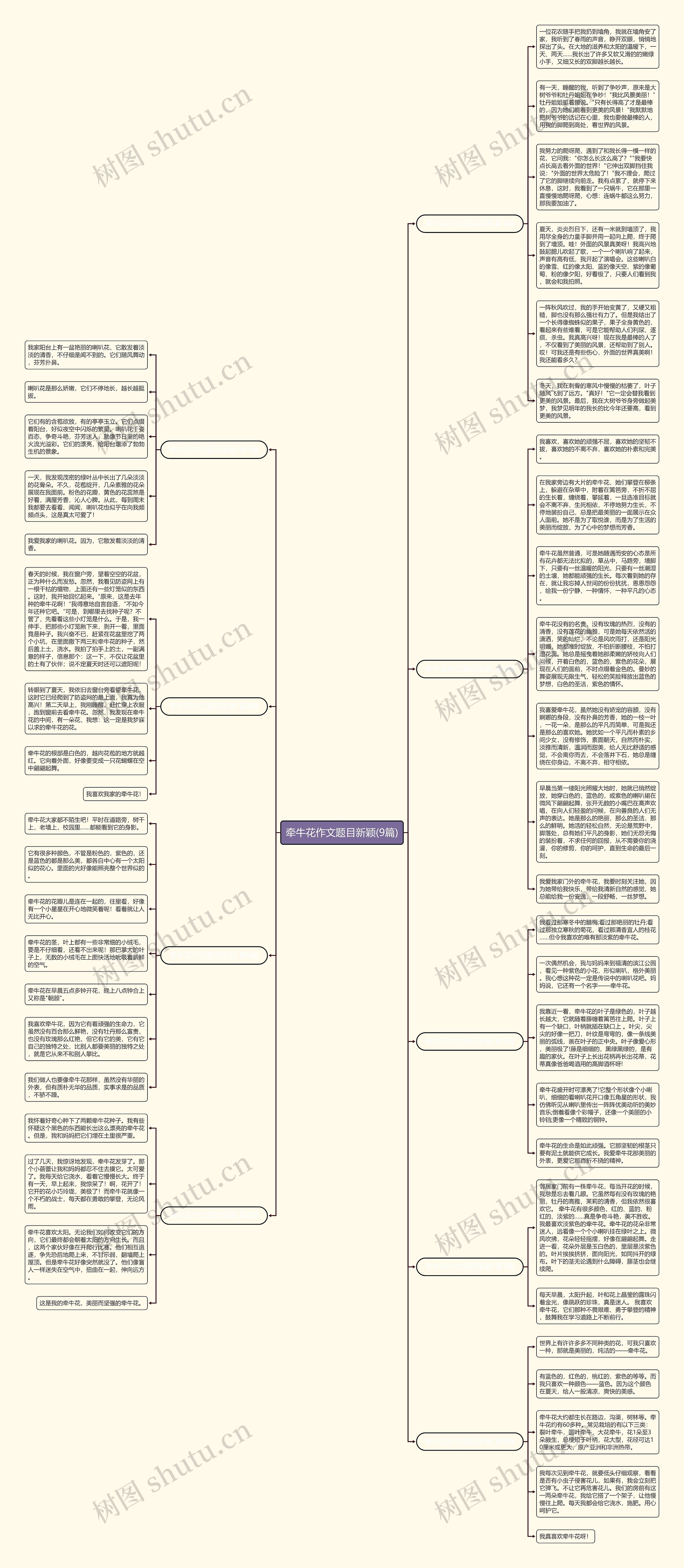 牵牛花作文题目新颖(9篇)思维导图