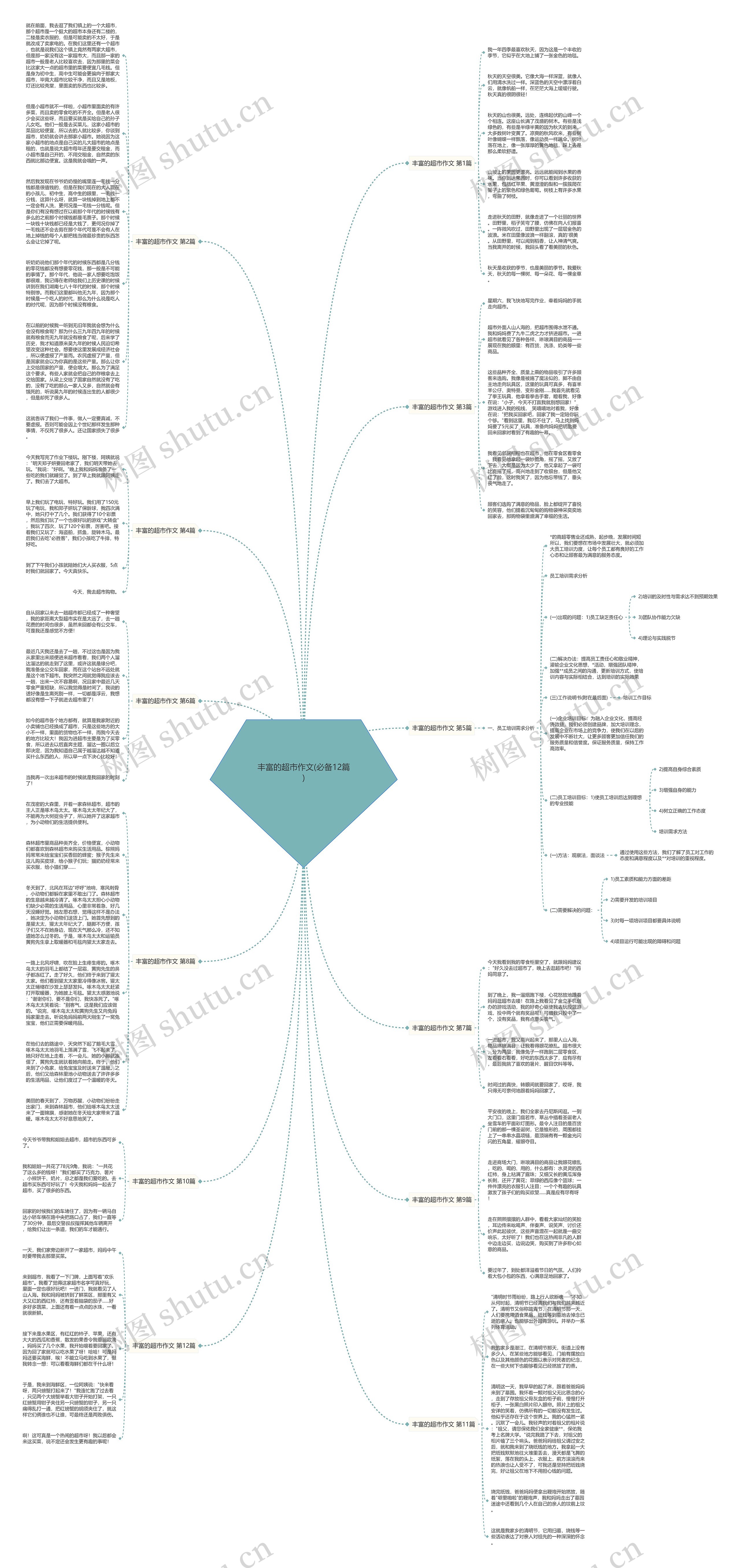 丰富的超市作文(必备12篇)思维导图