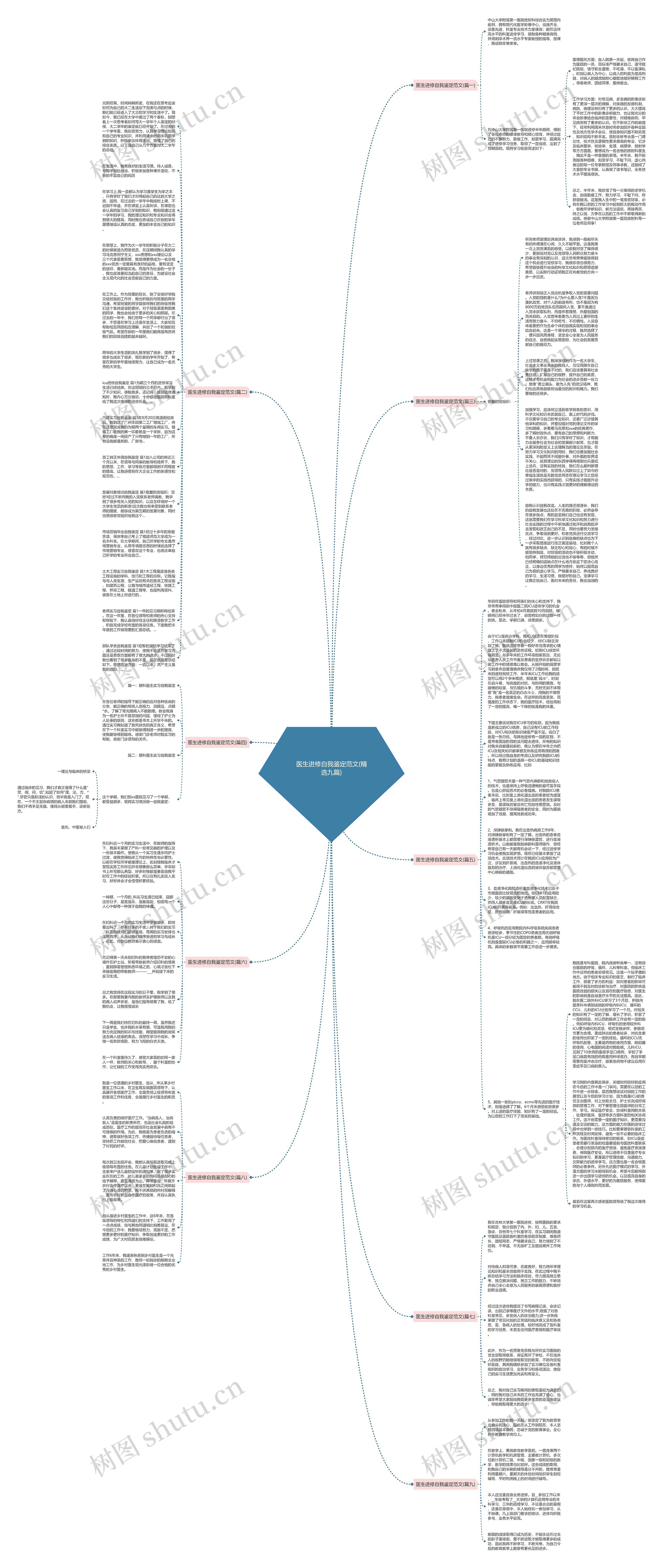 医生进修自我鉴定范文(精选九篇)思维导图
