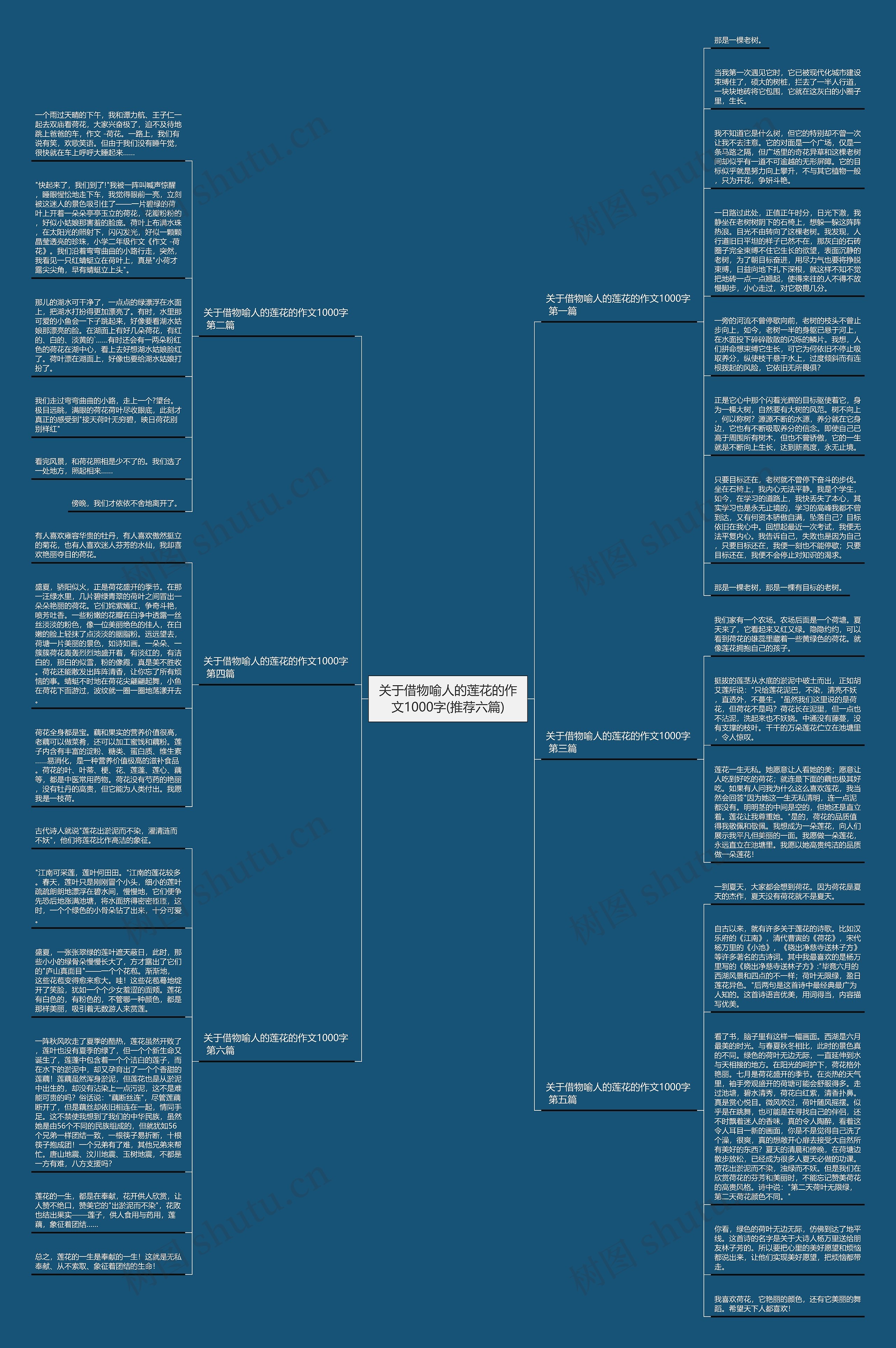 关于借物喻人的莲花的作文1000字(推荐六篇)思维导图
