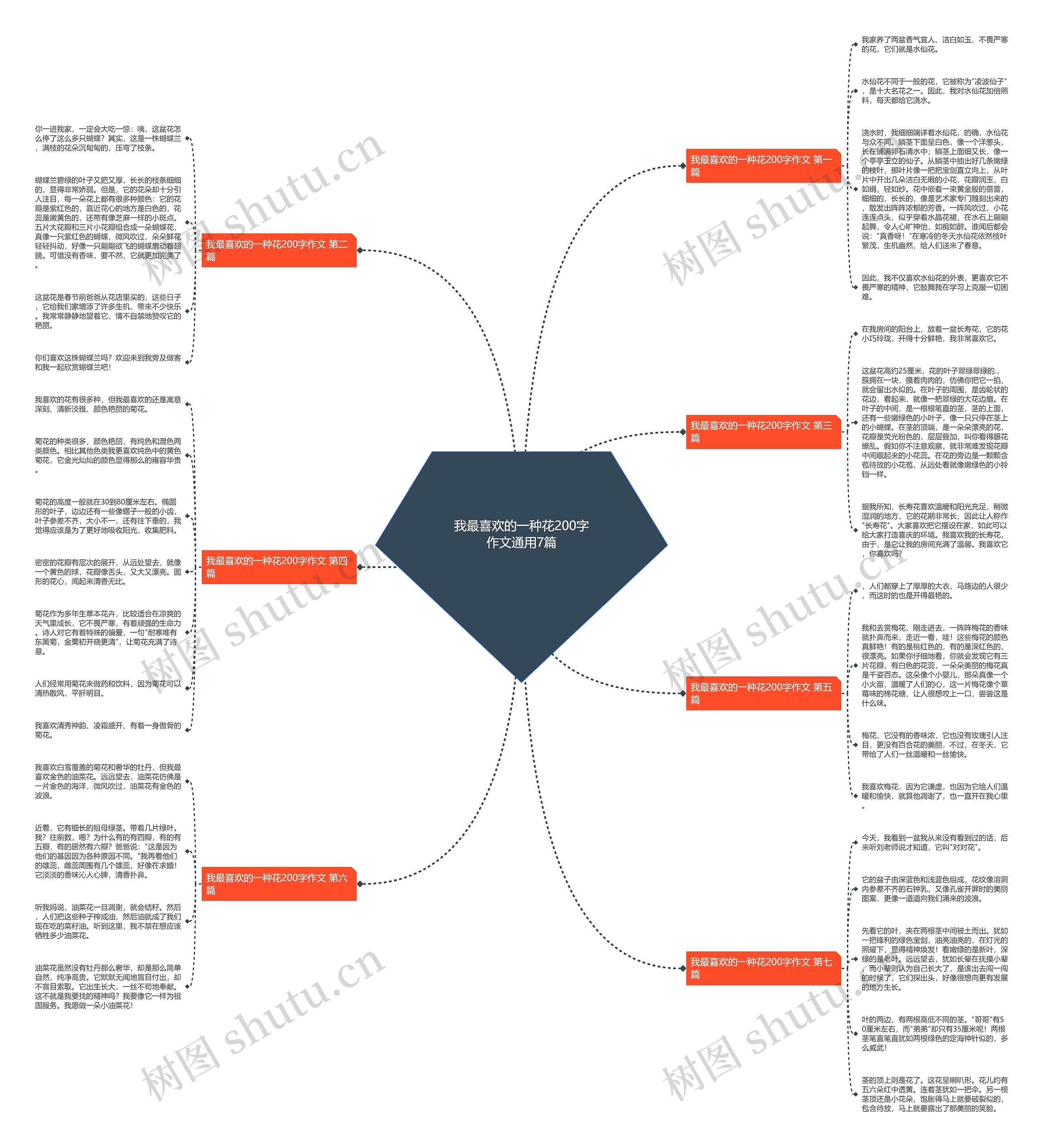 我最喜欢的一种花200字作文通用7篇思维导图
