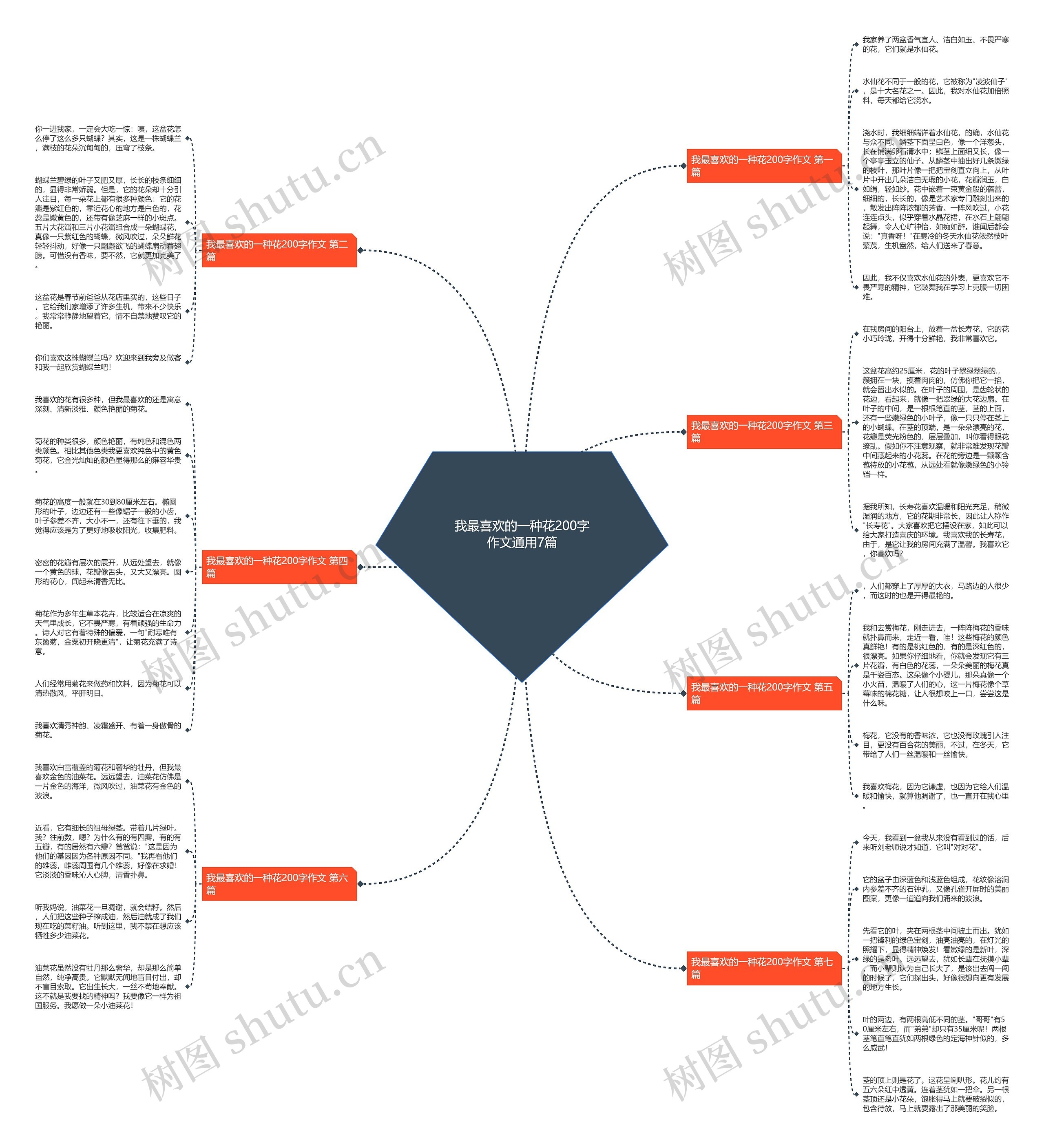 我最喜欢的一种花200字作文通用7篇 我最喜欢的一种花200字作文通用7篇