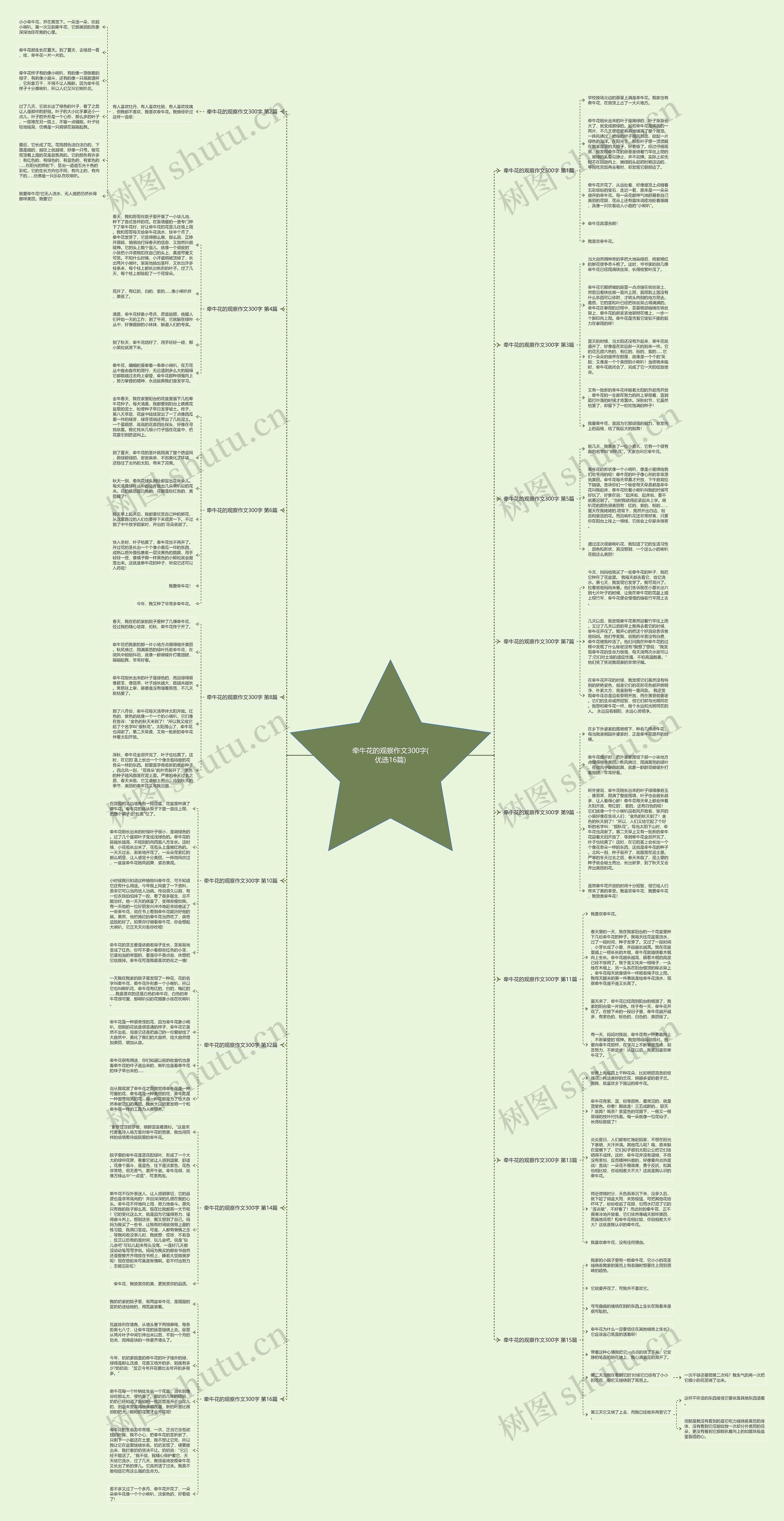 牵牛花的观察作文300字(优选16篇) 牵牛花的观察作文300字(优选16篇)