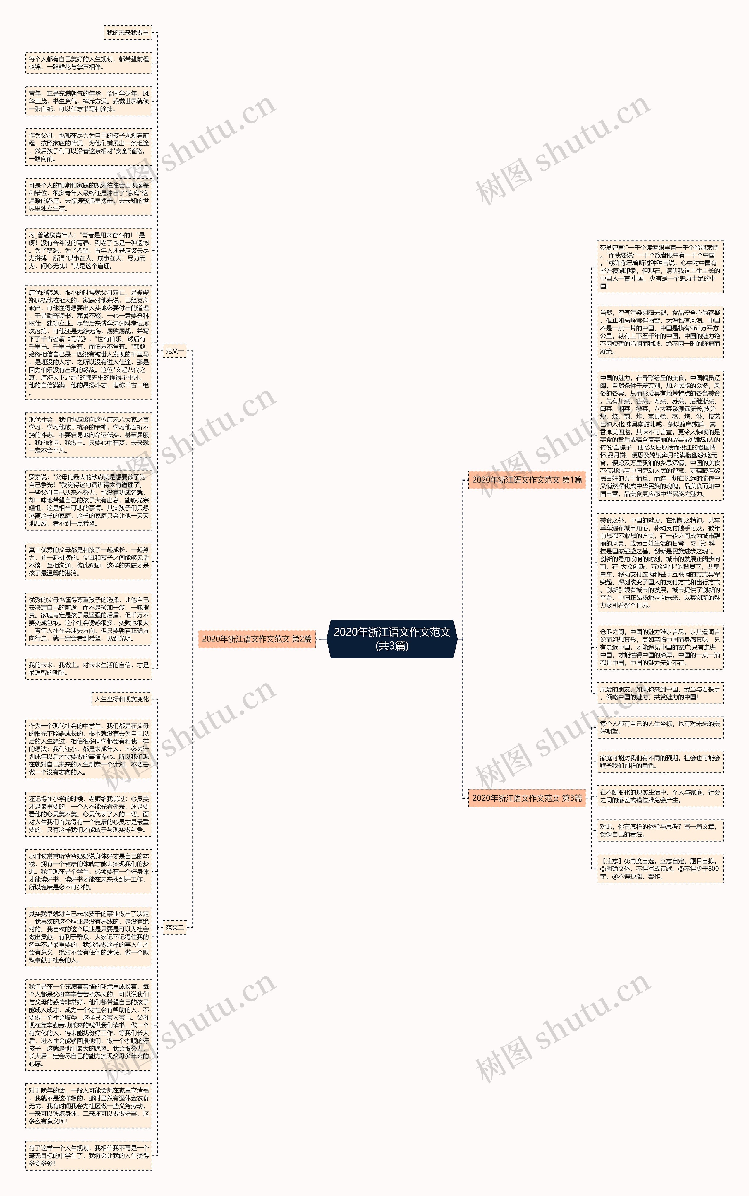 2020年浙江语文作文范文(共3篇)思维导图