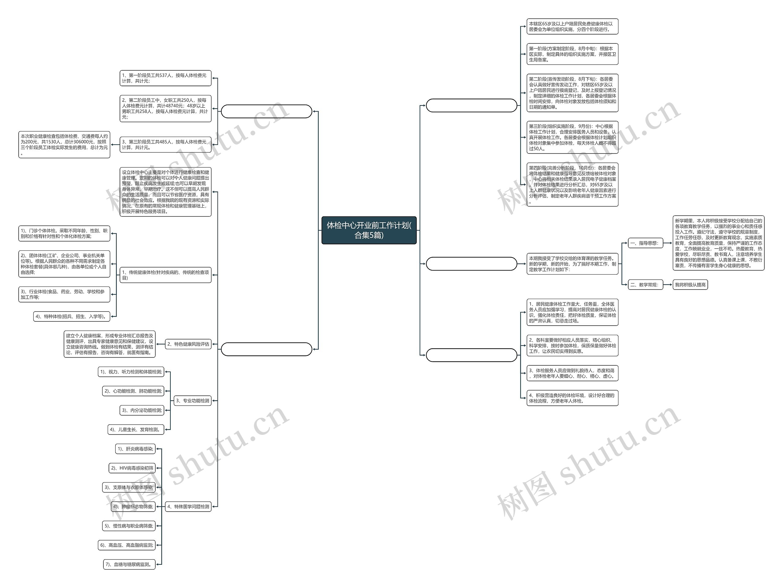 体检中心开业前工作计划(合集5篇)思维导图