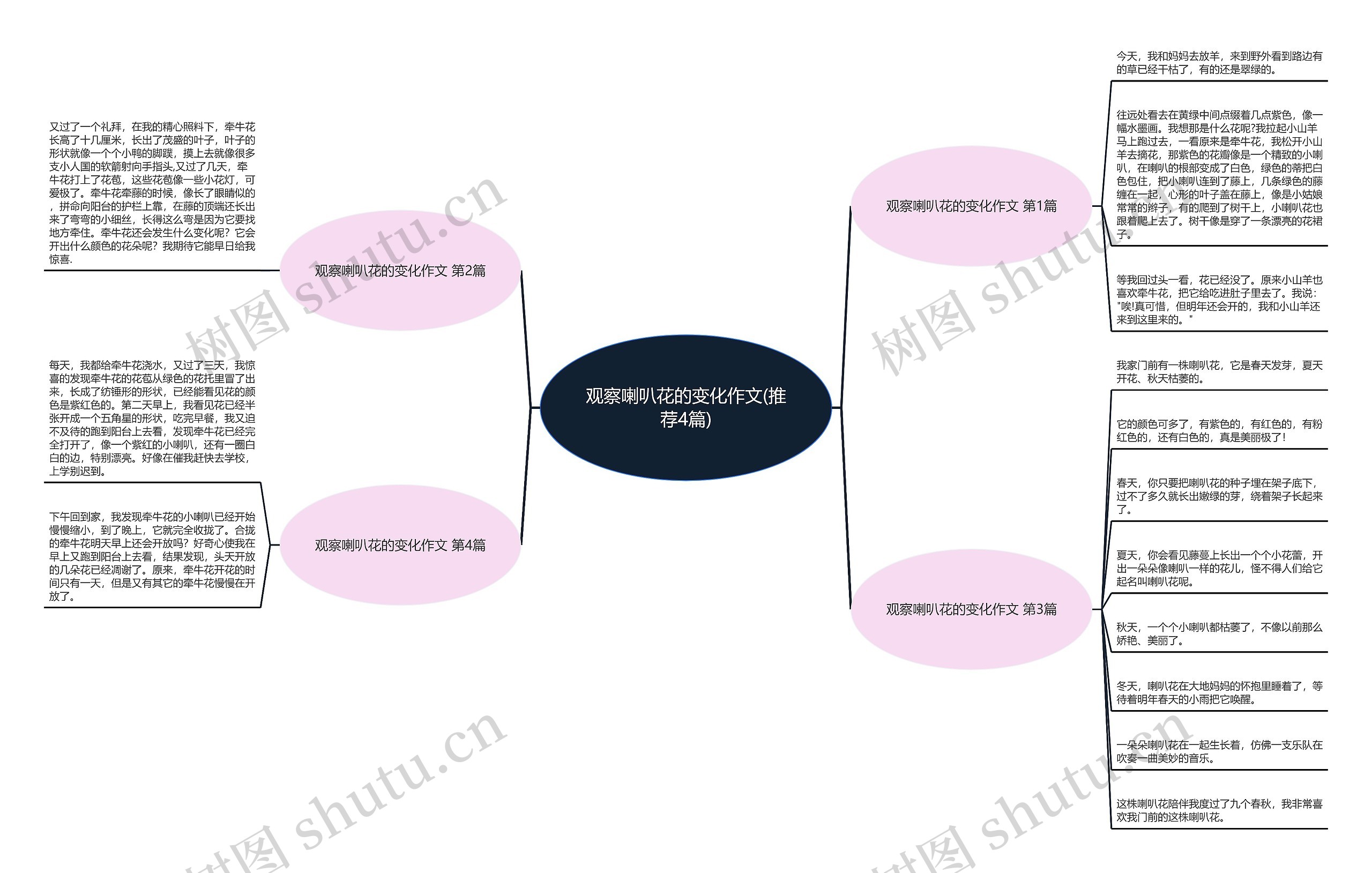 观察喇叭花的变化作文(推荐4篇)思维导图