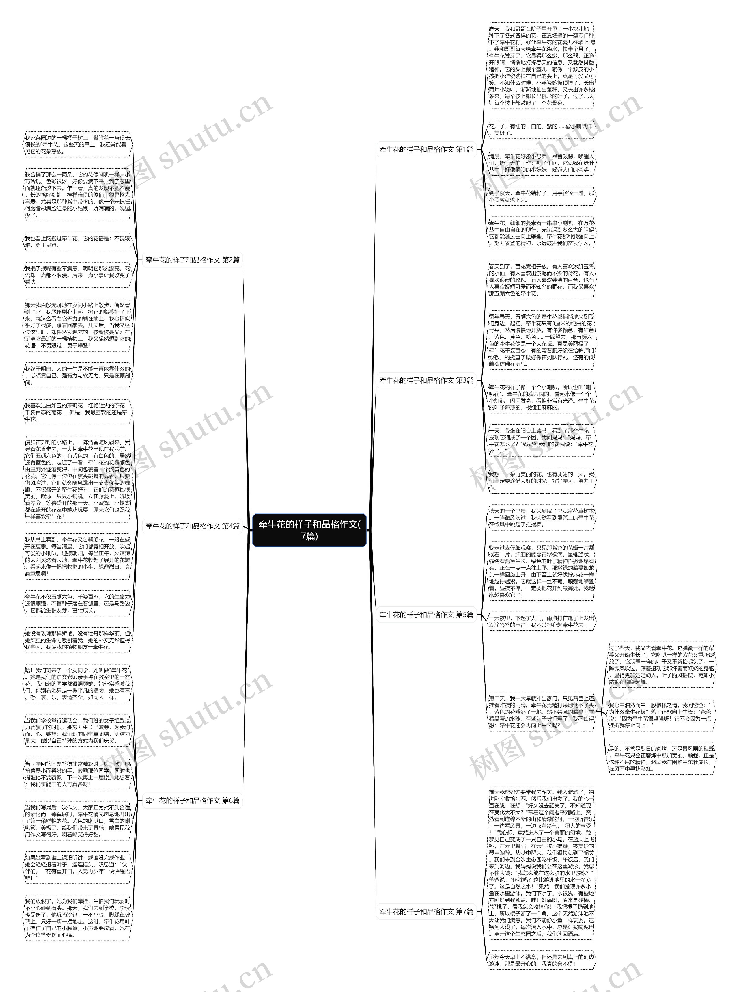 牵牛花的样子和品格作文(7篇) 牵牛花的样子和品格作文(7篇)