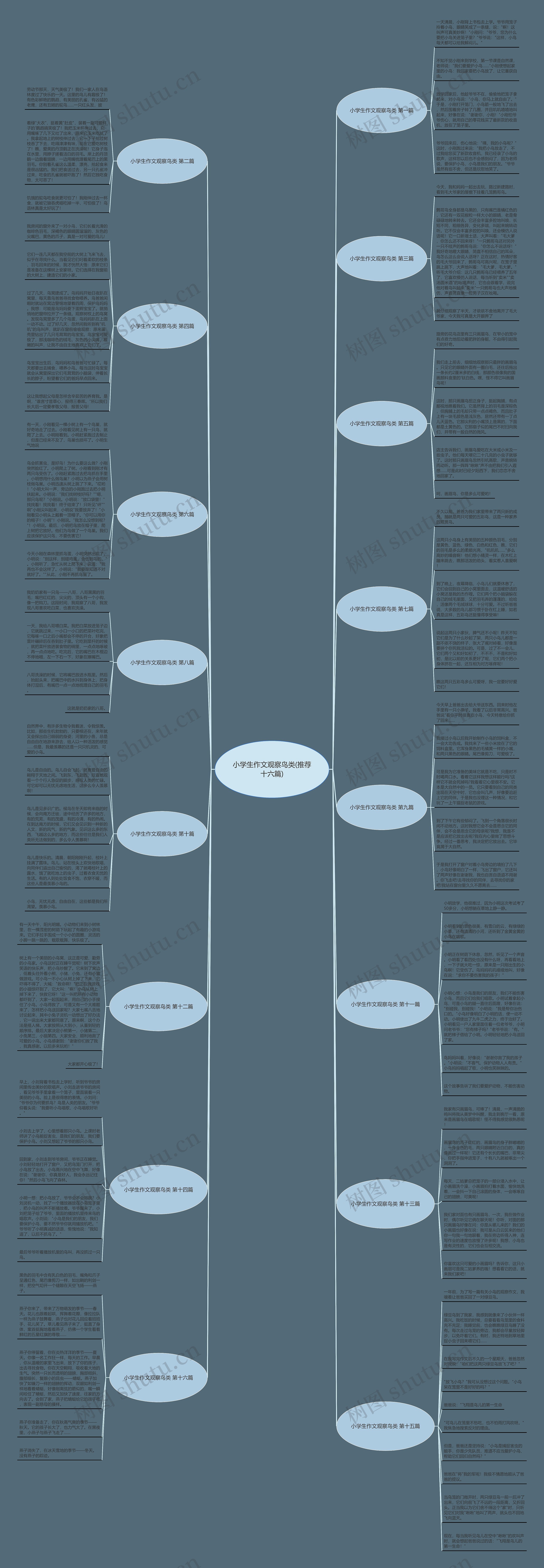 小学生作文观察鸟类(推荐十六篇)思维导图