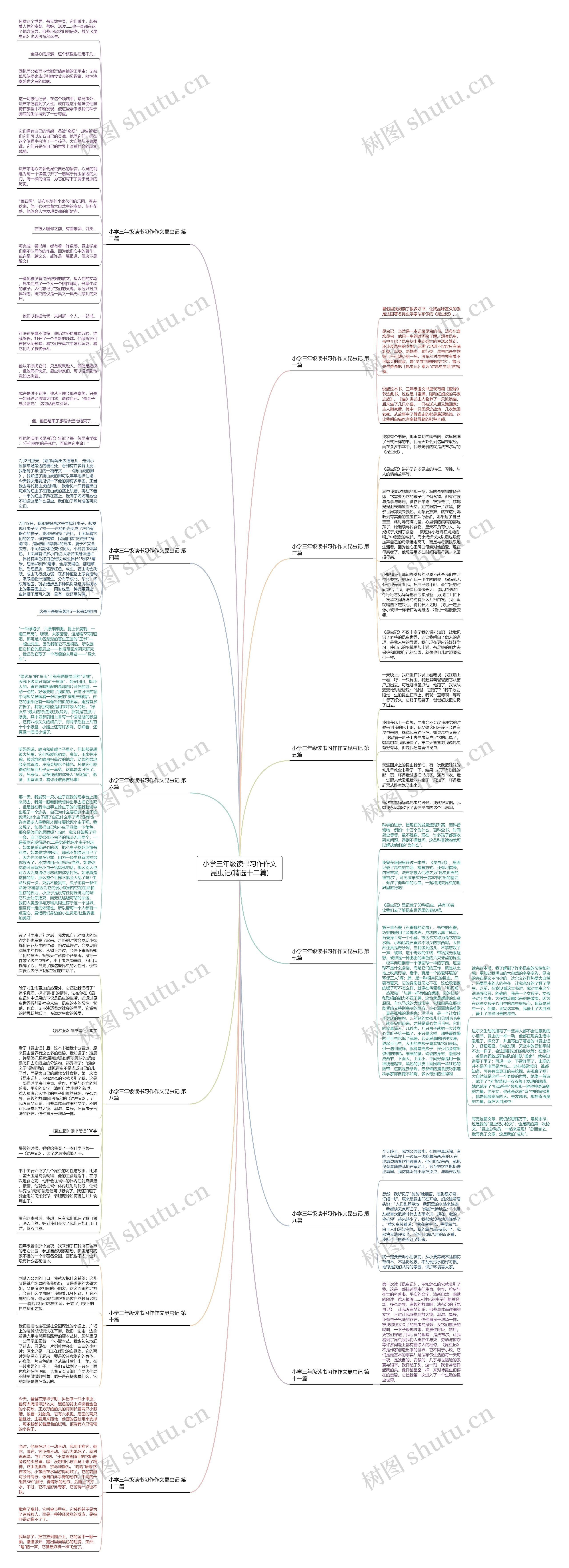 小学三年级读书习作作文昆虫记(精选十二篇)思维导图