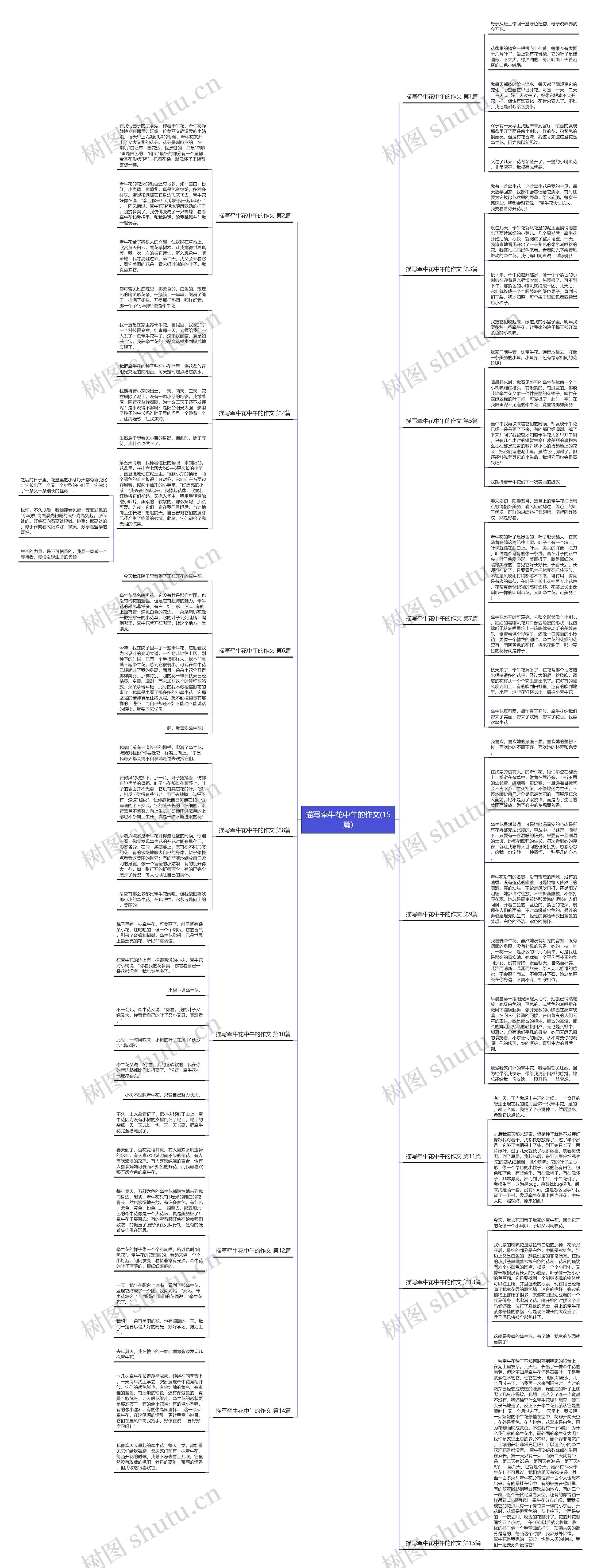 描写牵牛花中午的作文(15篇)思维导图