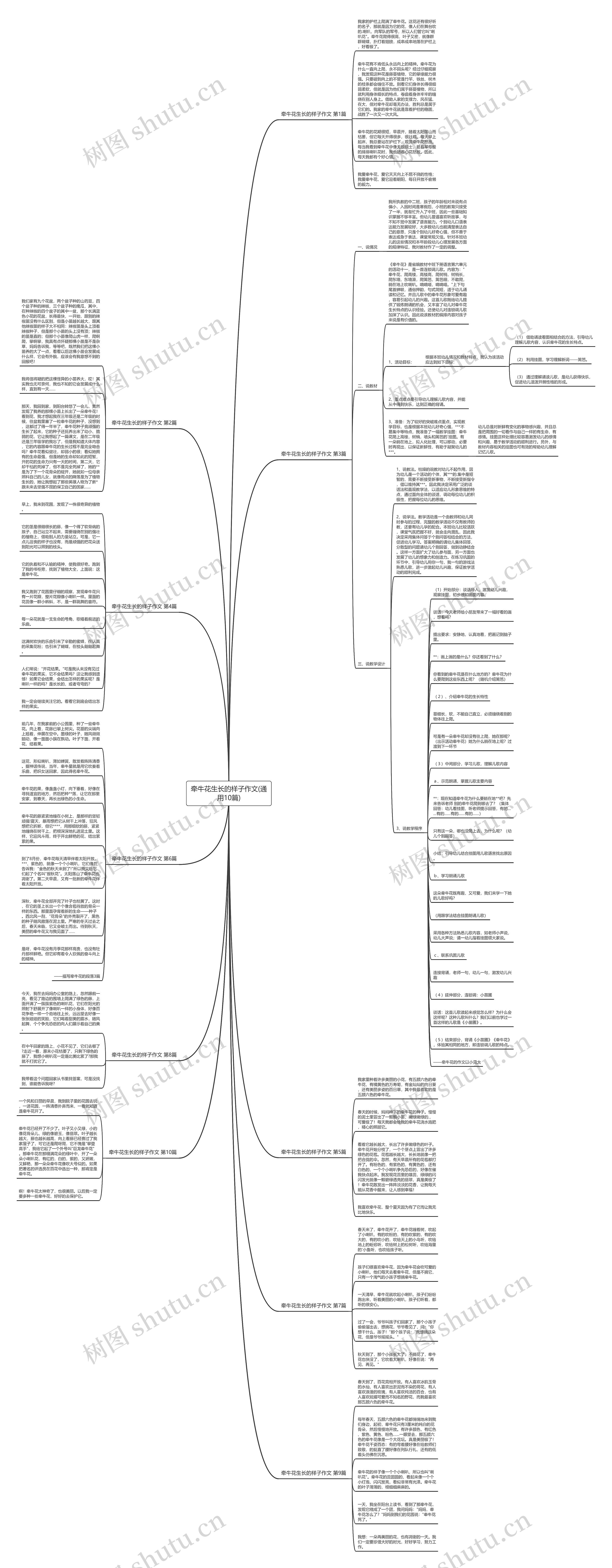 牵牛花生长的样子作文(通用10篇)思维导图