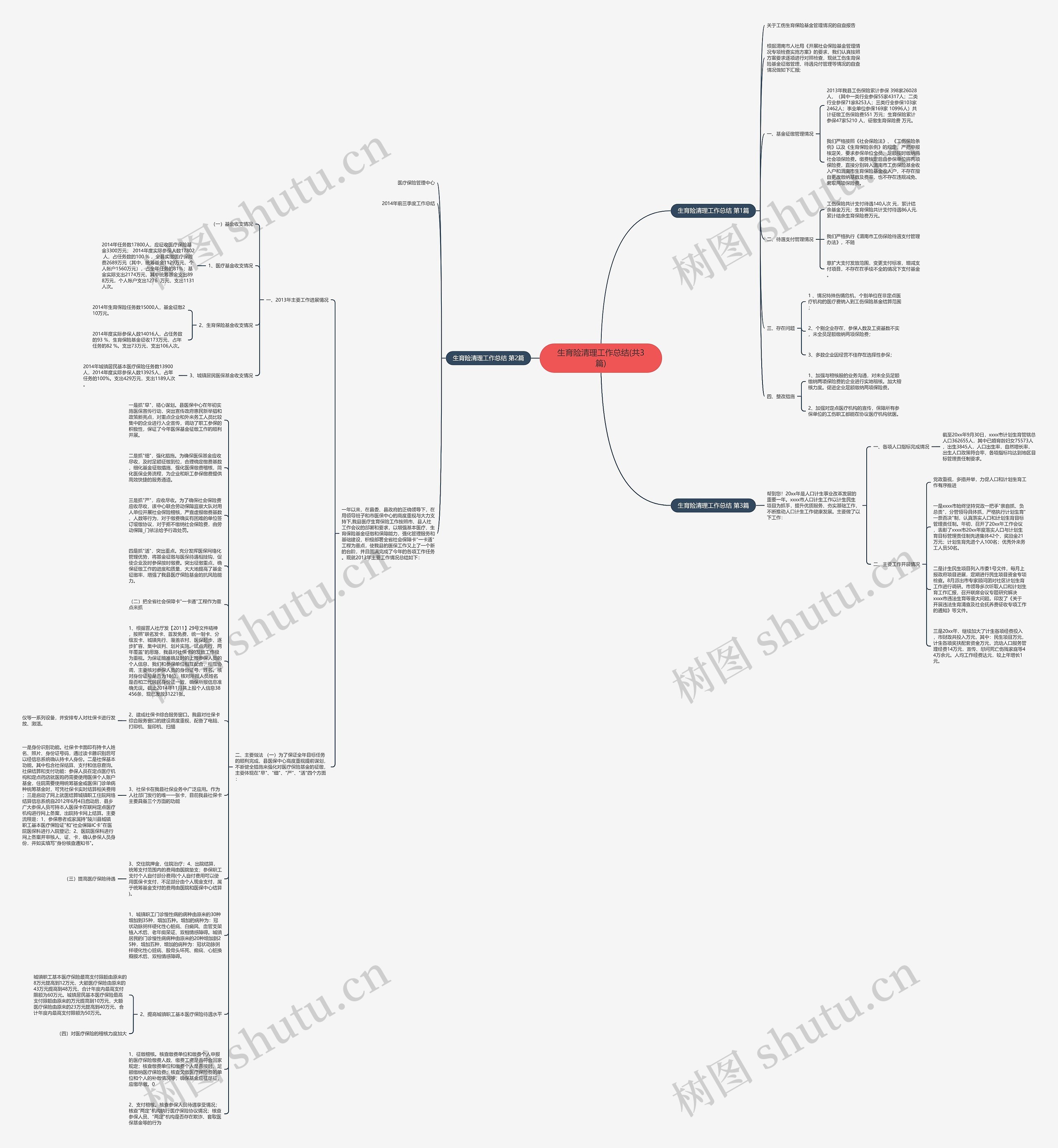 生育险清理工作总结(共3篇)思维导图