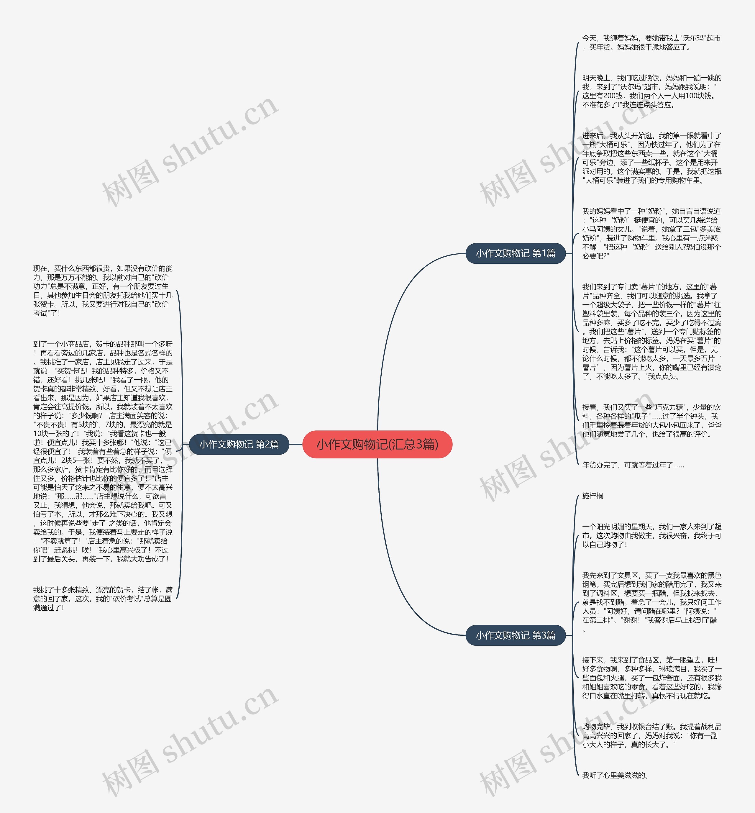 小作文购物记(汇总3篇)