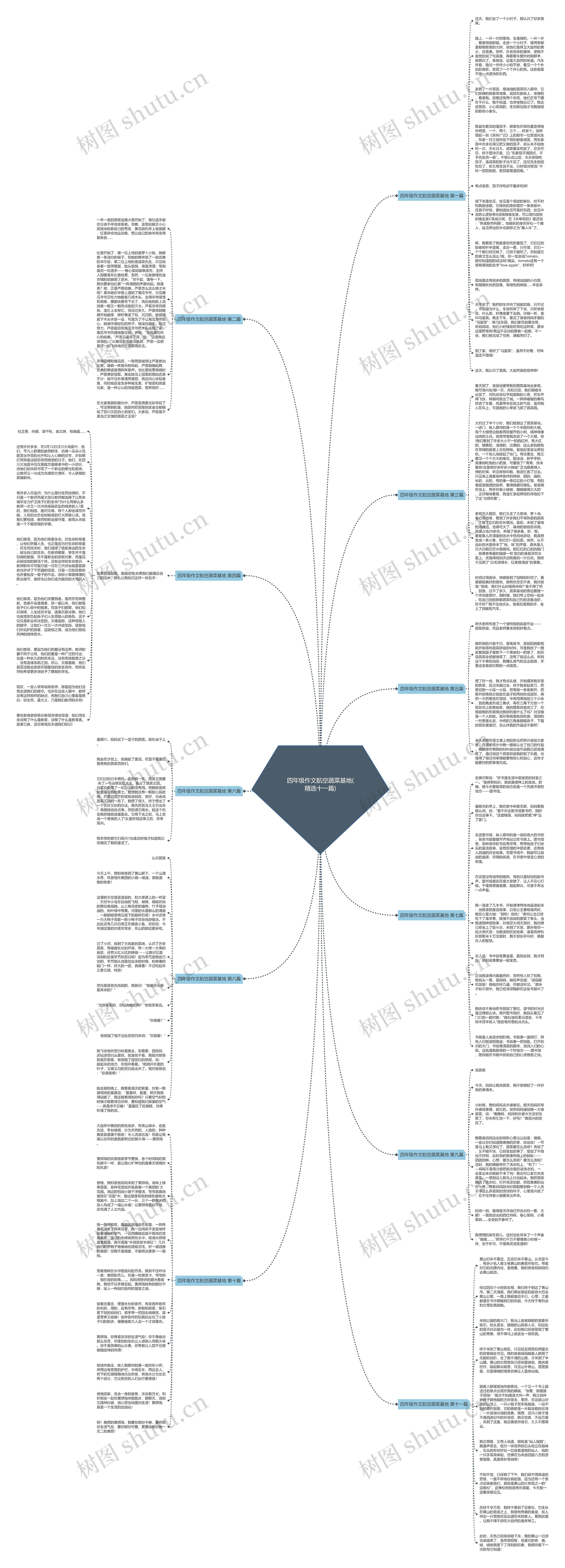 四年级作文航空蔬菜基地(精选十一篇)思维导图