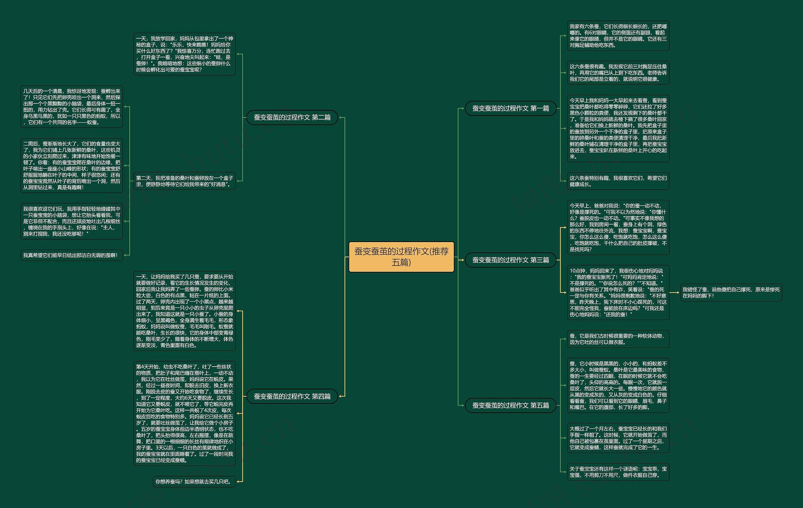 蚕变蚕茧的过程作文(推荐五篇)思维导图