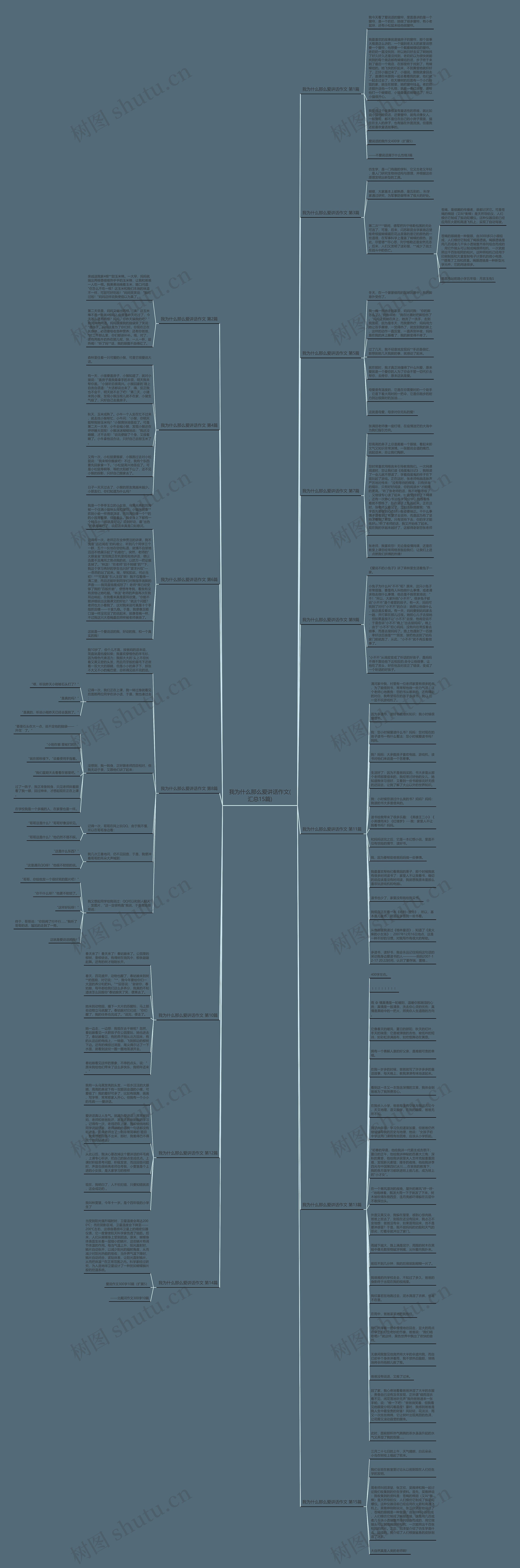 我为什么那么爱讲话作文(汇总15篇)思维导图