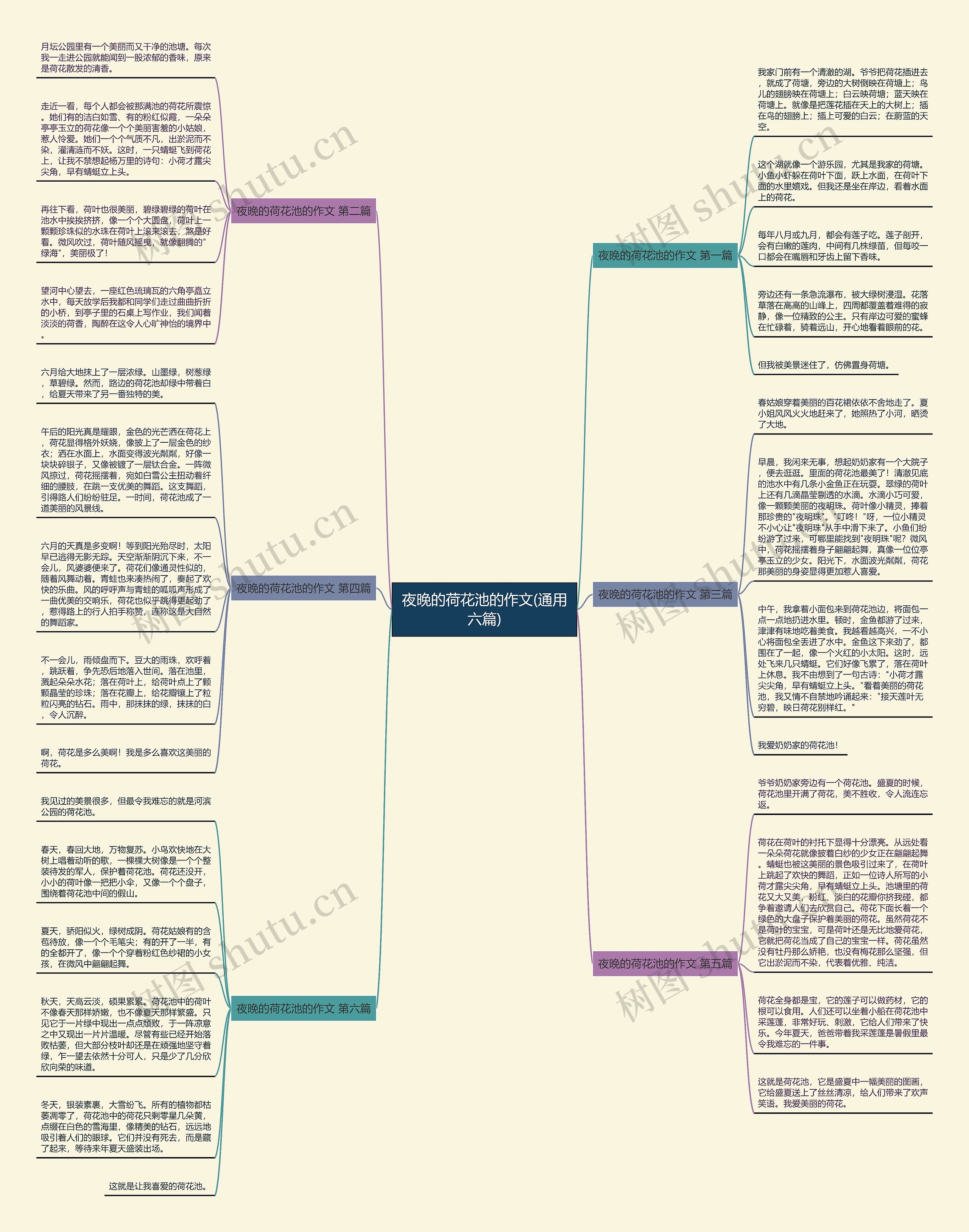 夜晚的荷花池的作文(通用六篇)思维导图