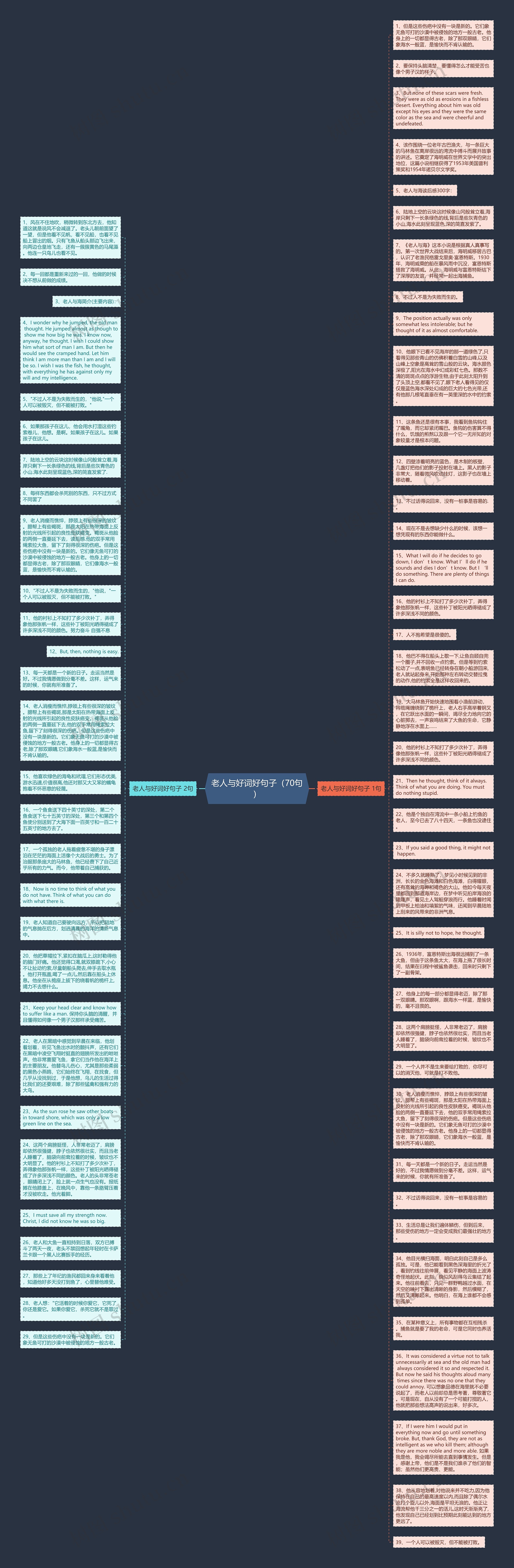 老人与好词好句子（70句）思维导图