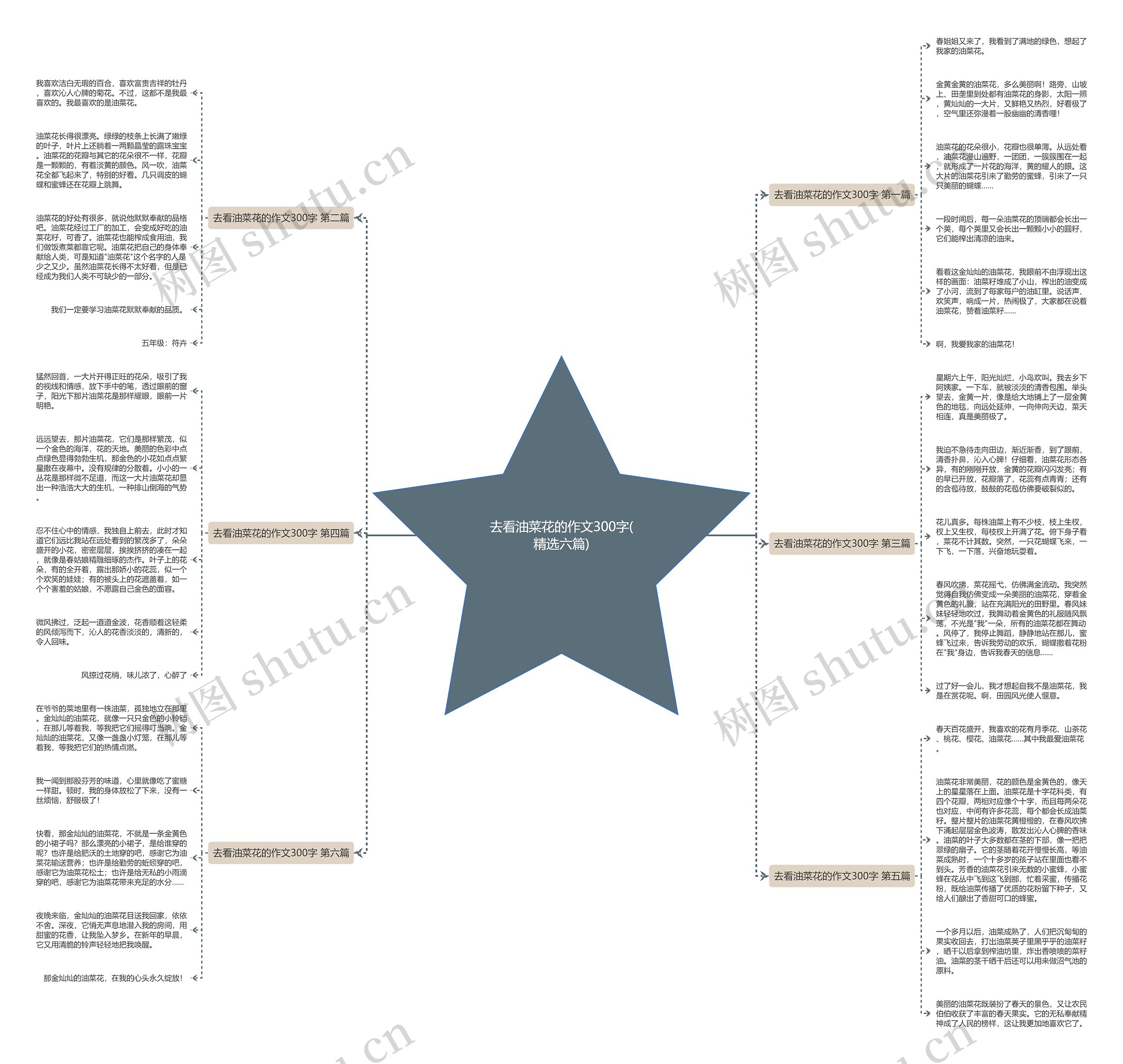 去看油菜花的作文300字(精选六篇)思维导图