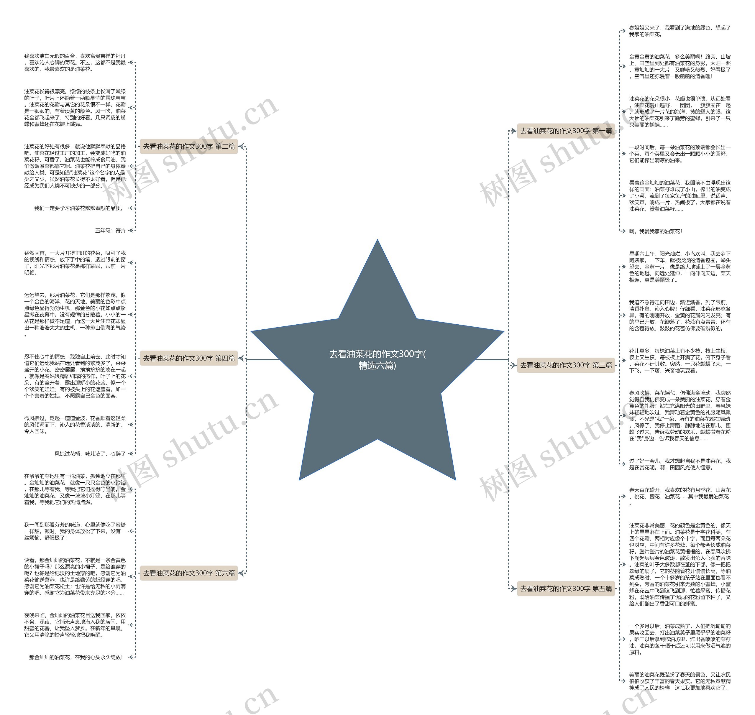 去看油菜花的作文300字(精选六篇) 去看油菜花的作文300字(精选六篇)
