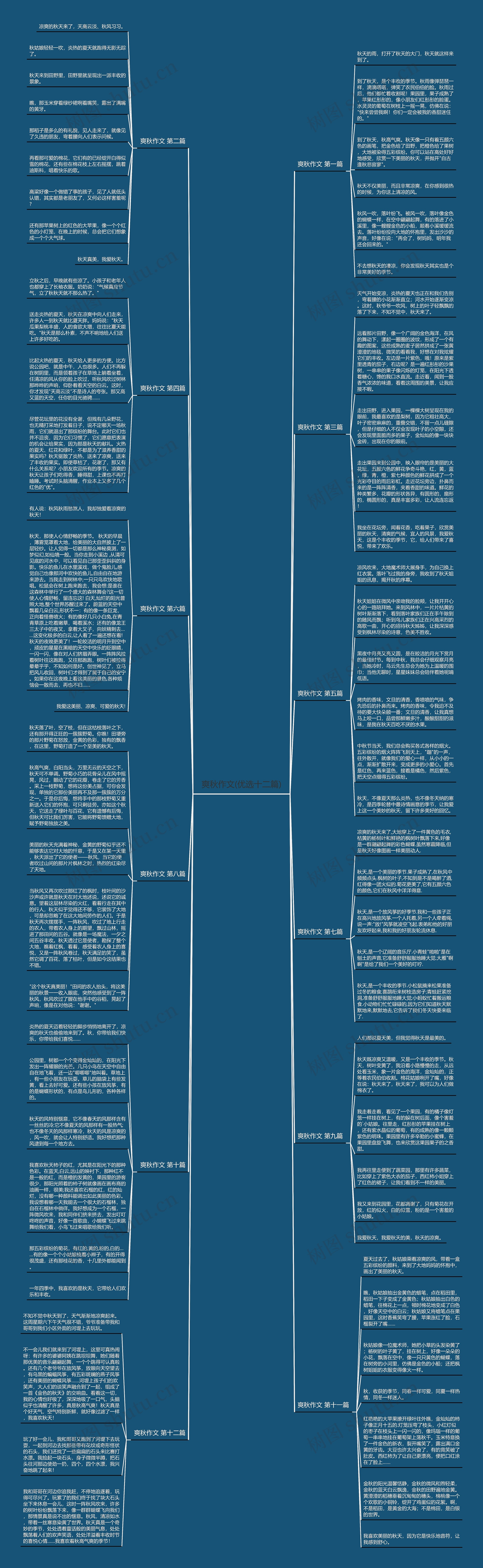 爽秋作文(优选十二篇)