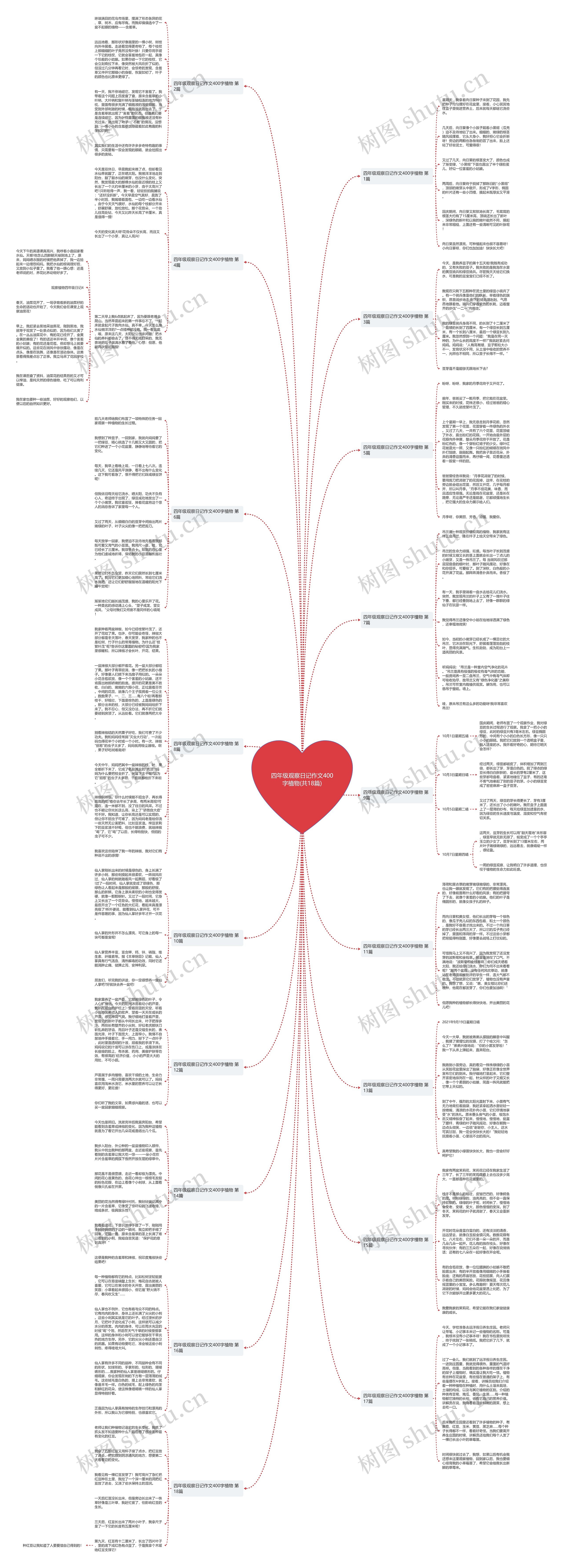 四年级观察日记作文400字植物(共18篇)思维导图