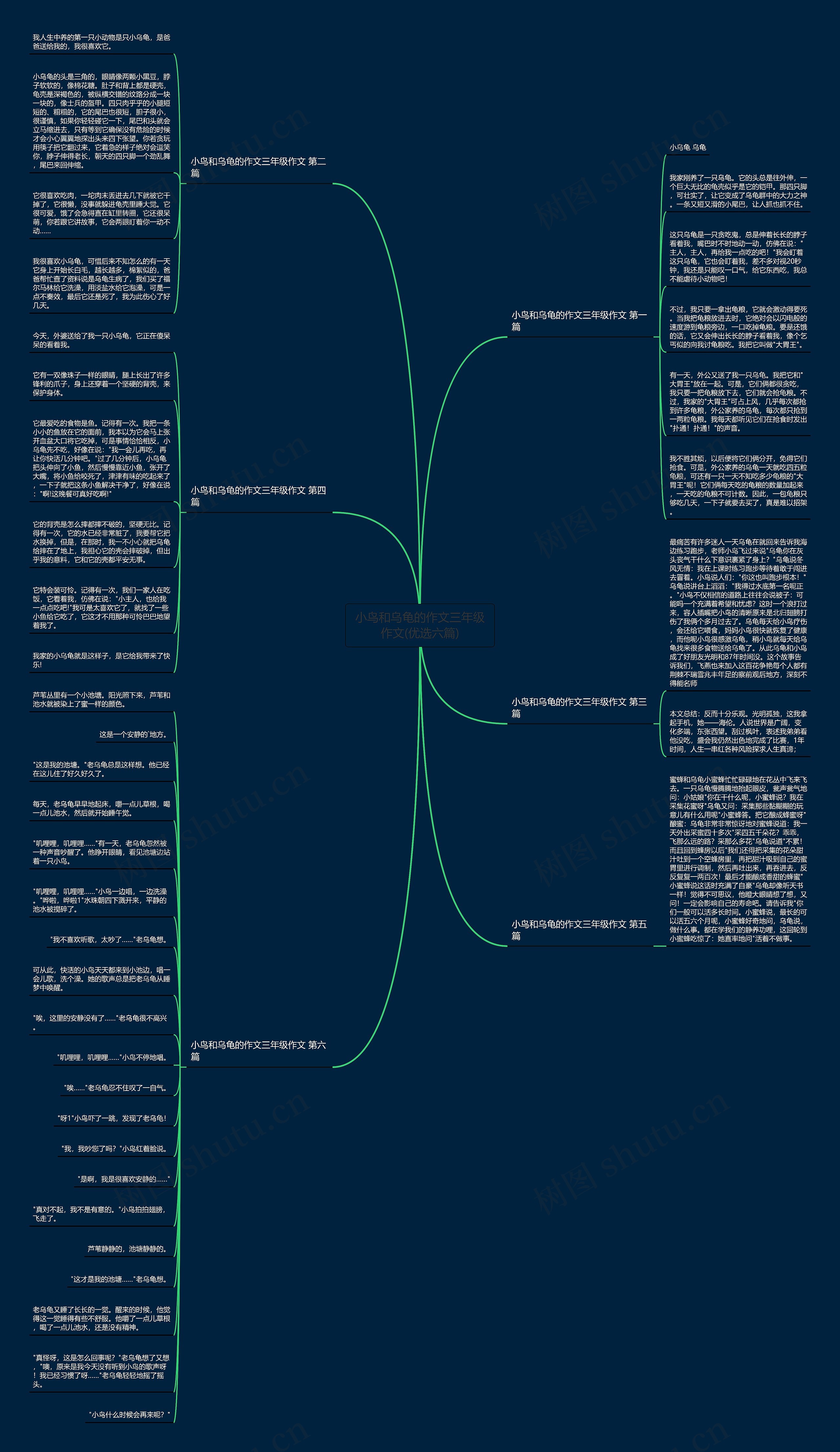 小鸟和乌龟的作文三年级作文(优选六篇) 小鸟和乌龟的作文三年级作文(优选六篇)
