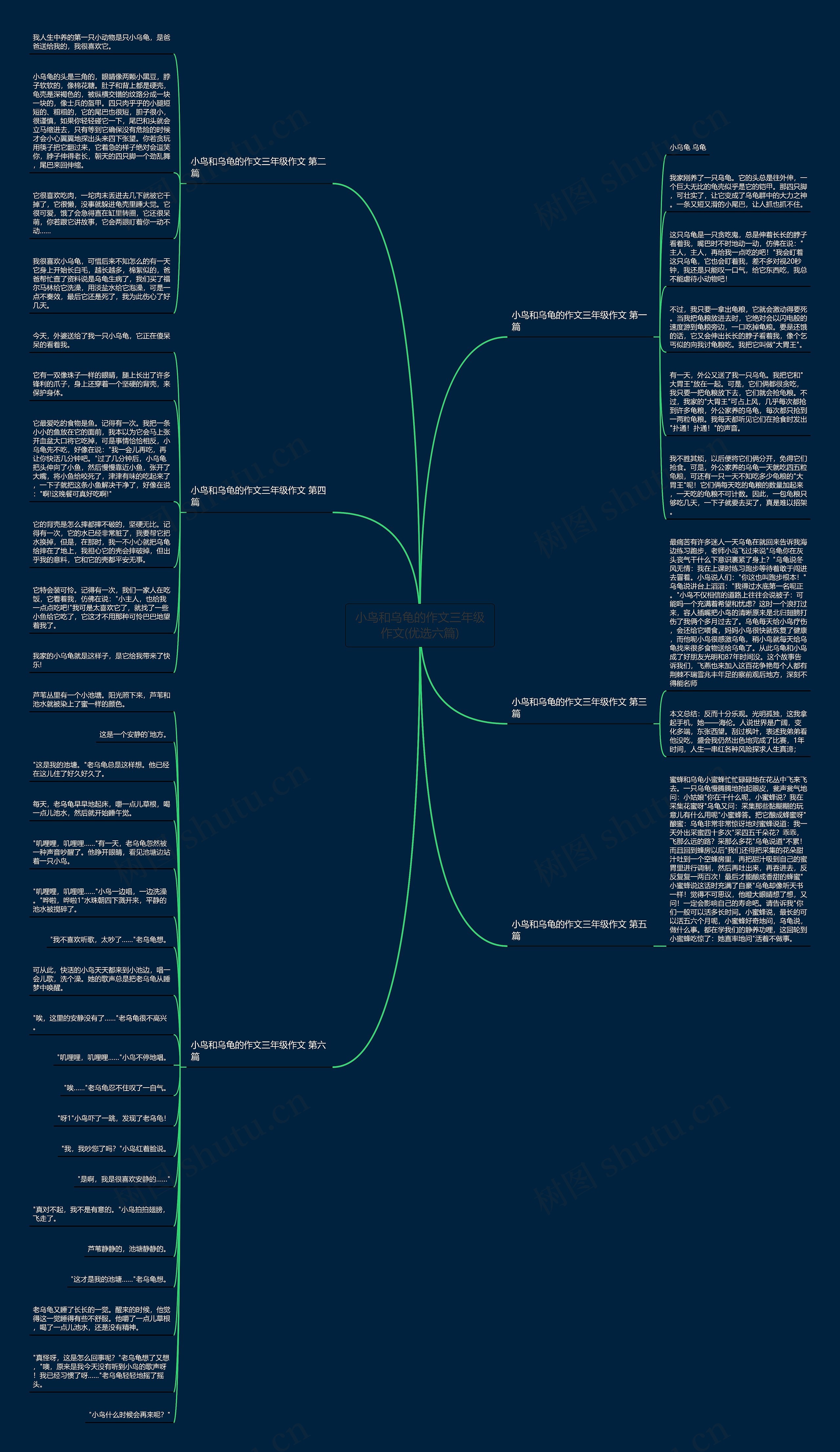 小鸟和乌龟的作文三年级作文(优选六篇)思维导图