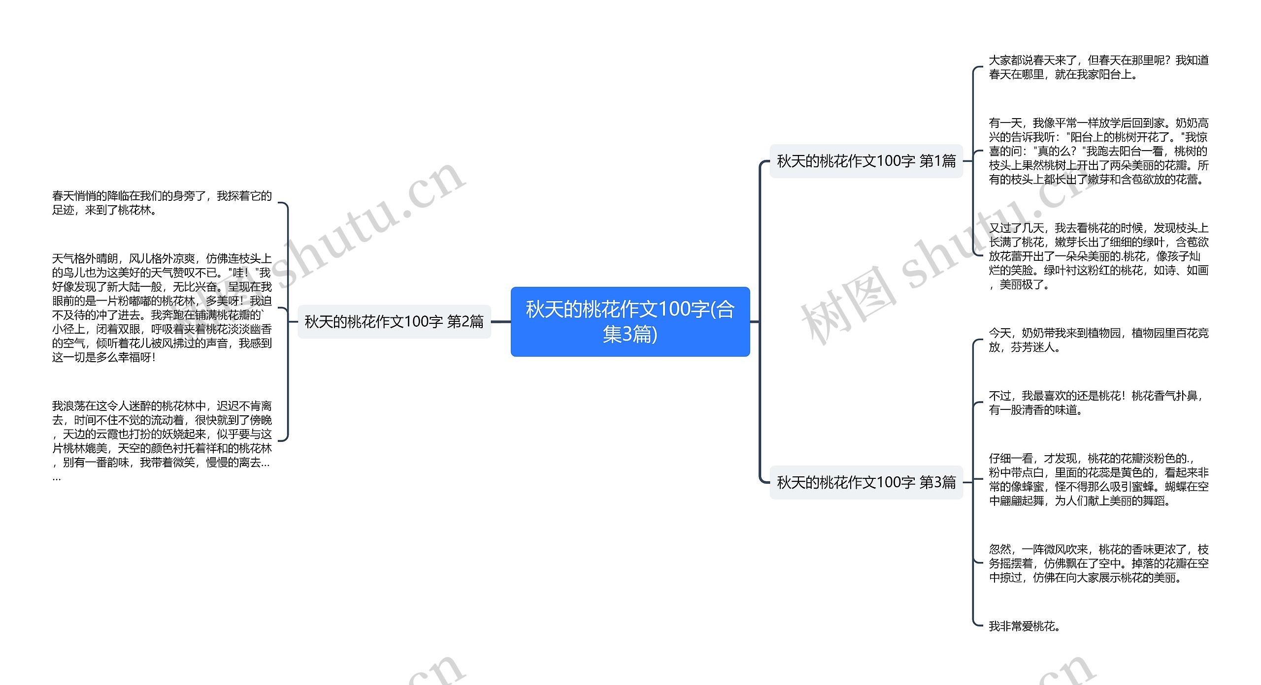 秋天的桃花作文100字(合集3篇)