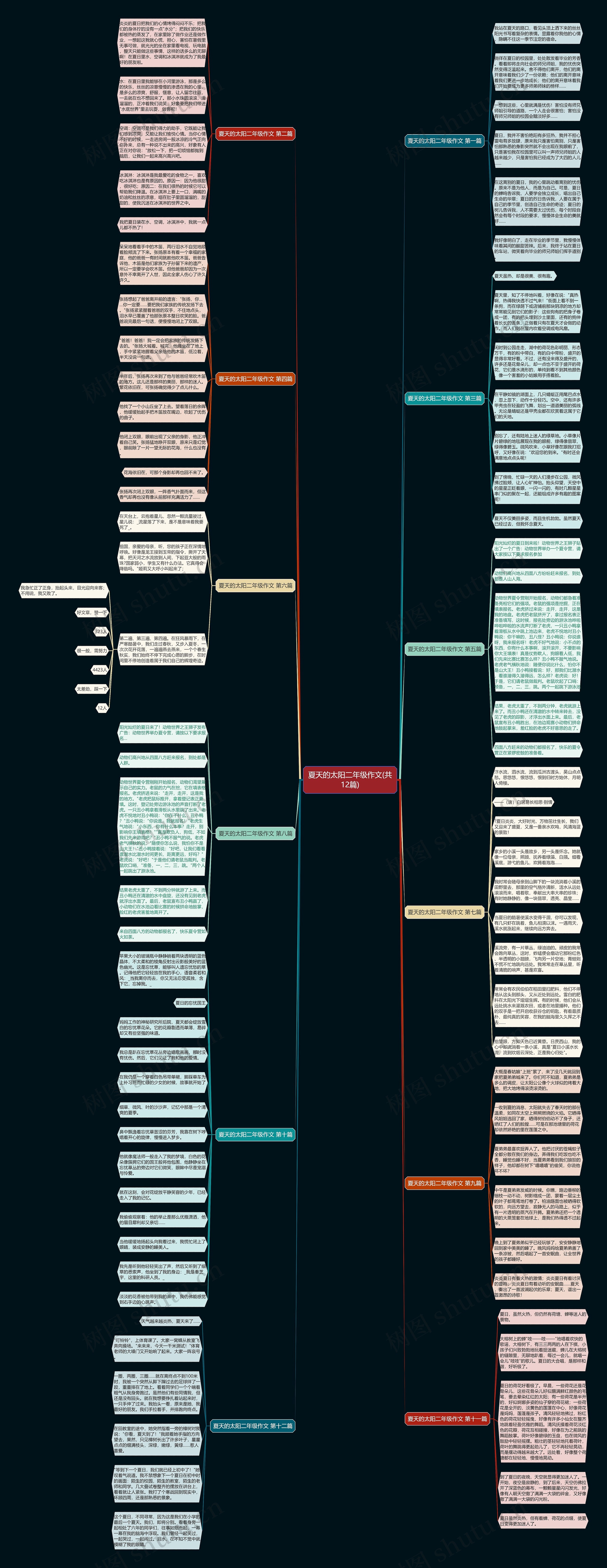 夏天的太阳二年级作文(共12篇) 夏天的太阳二年级作文(共12篇)