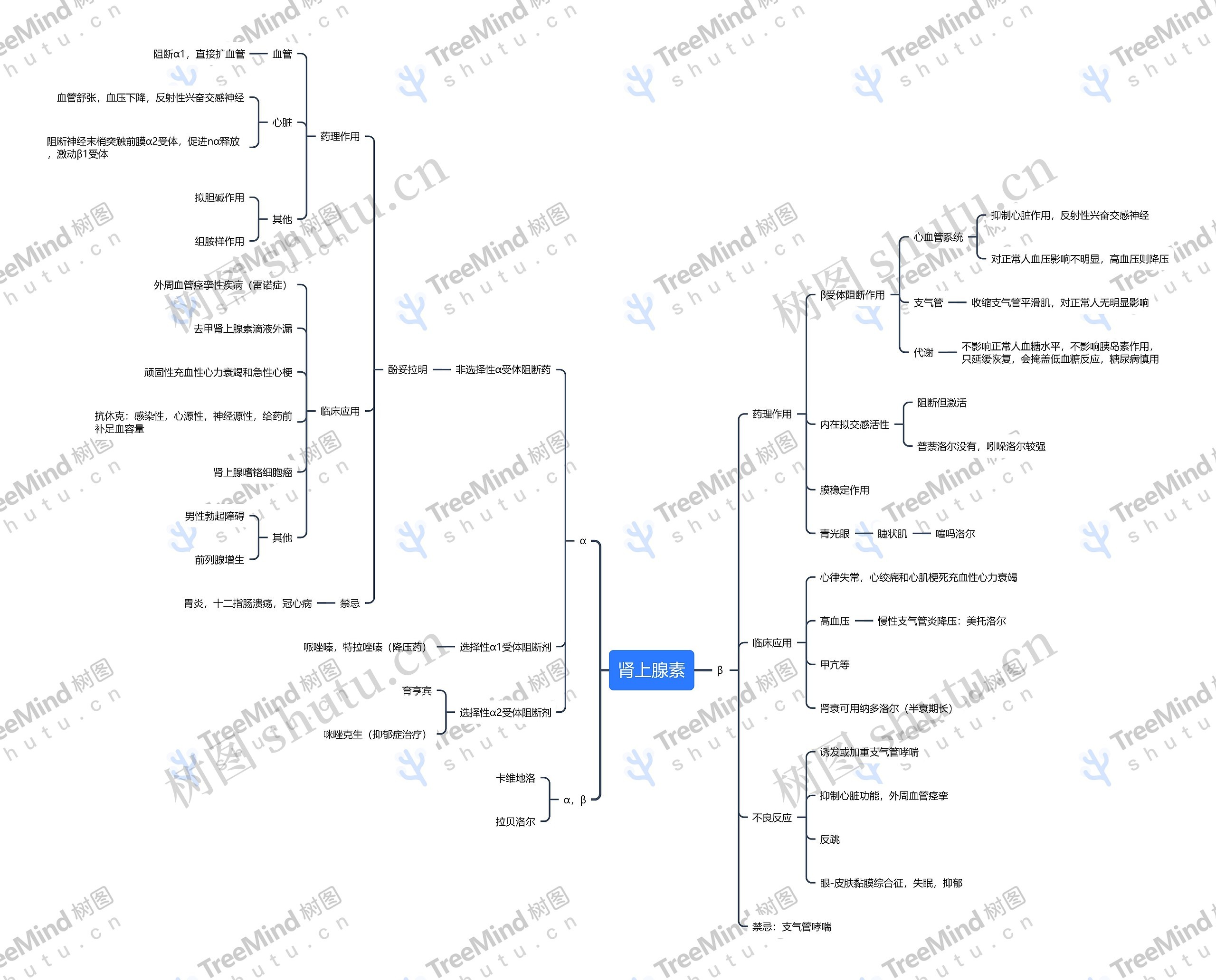 ﻿肾上腺素拮抗药思维导图