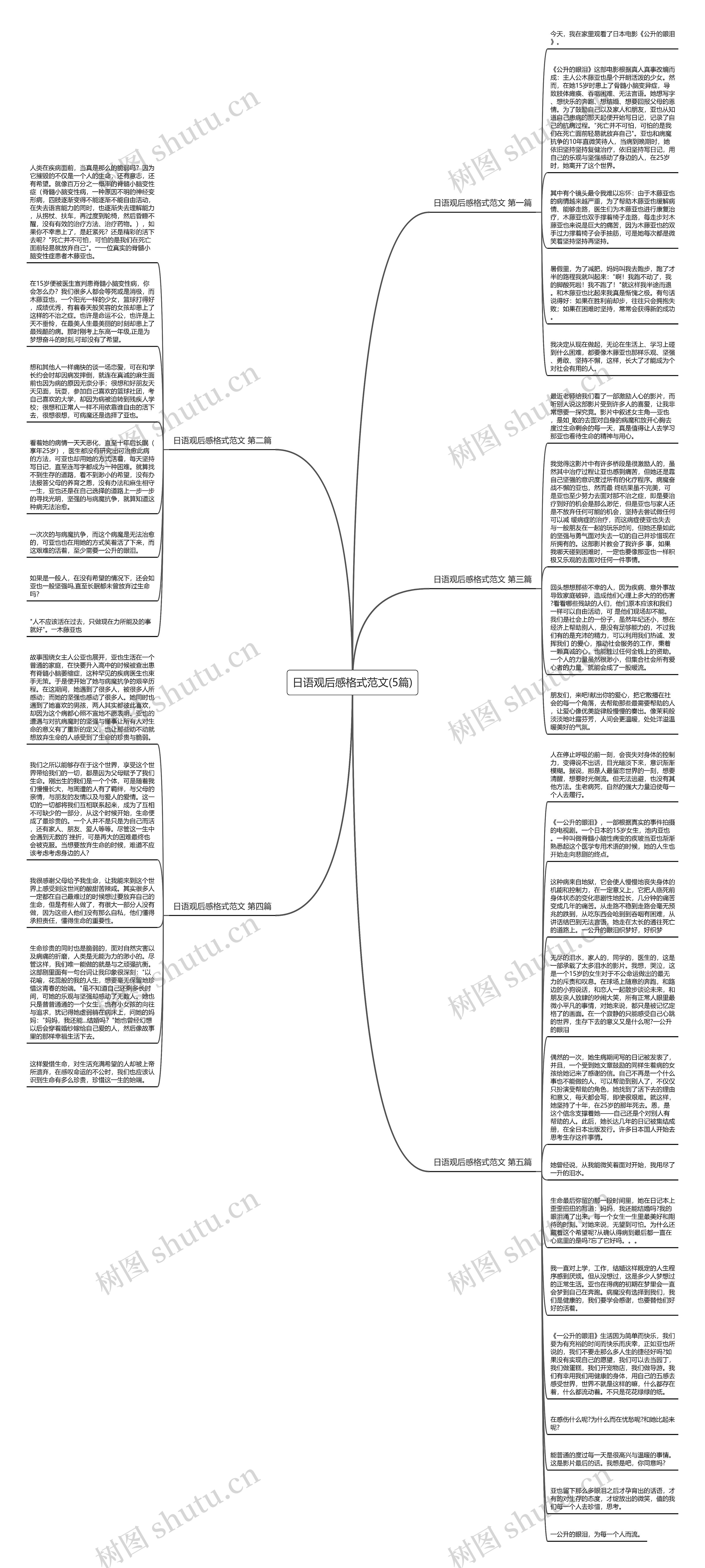 日语观后感格式范文(5篇)思维导图