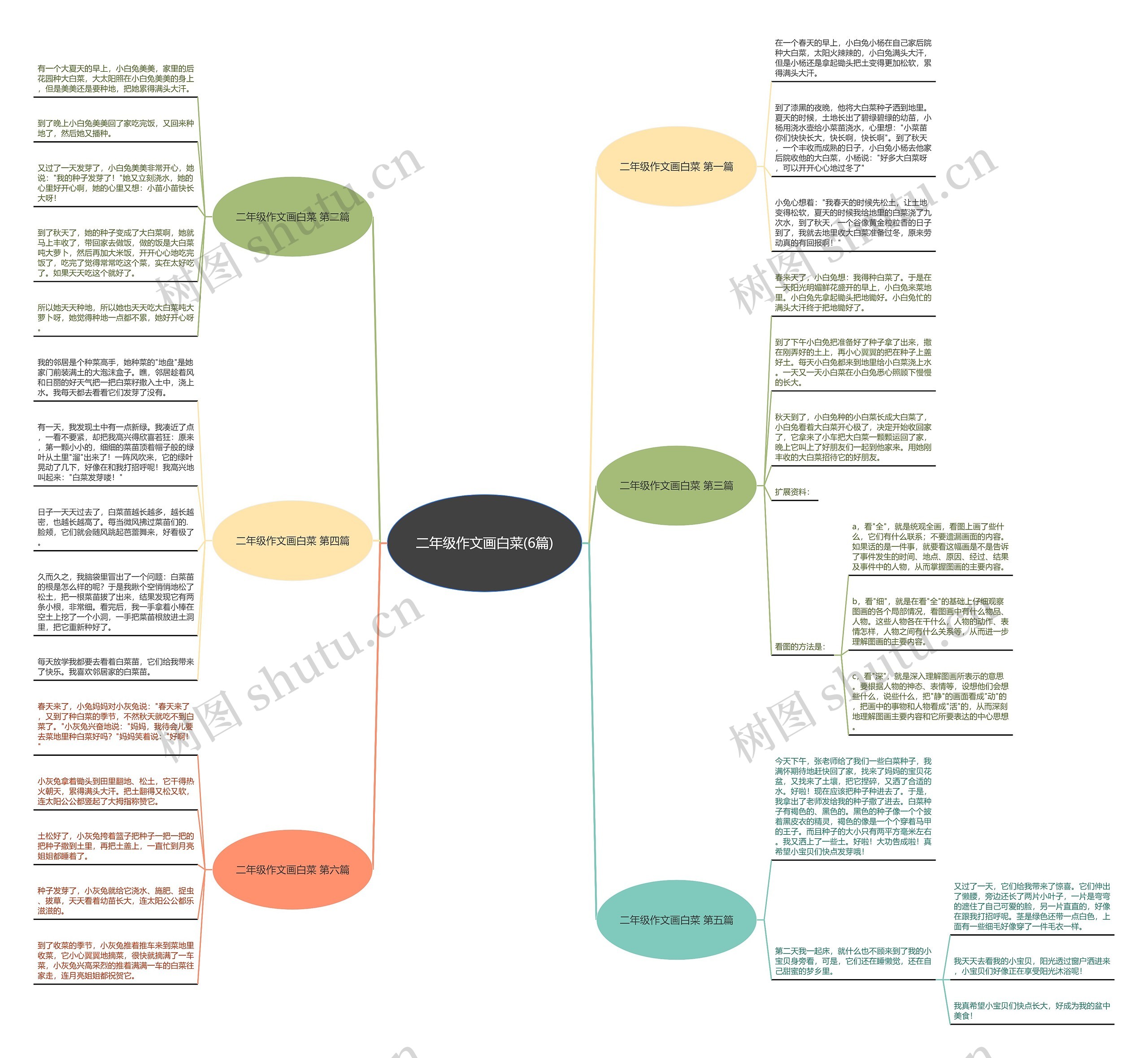 二年级作文画白菜(6篇) 二年级作文画白菜(6篇)